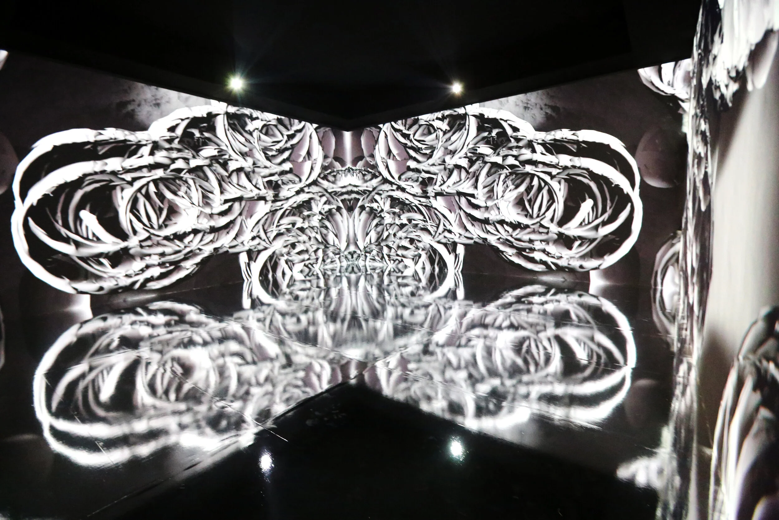 OPENART Advisory x Photo London Fair Collaboration