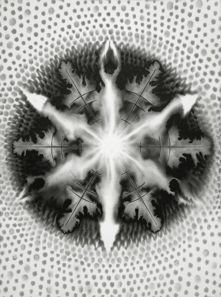 001m)+Entoptima+P01800403M+76x+56cm+ink+on+paper+2018.jpg