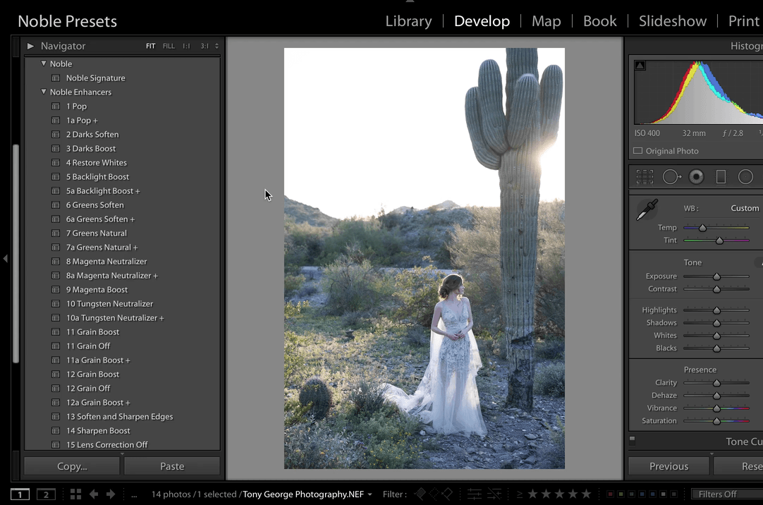 Noble-Presets-clicks.gif