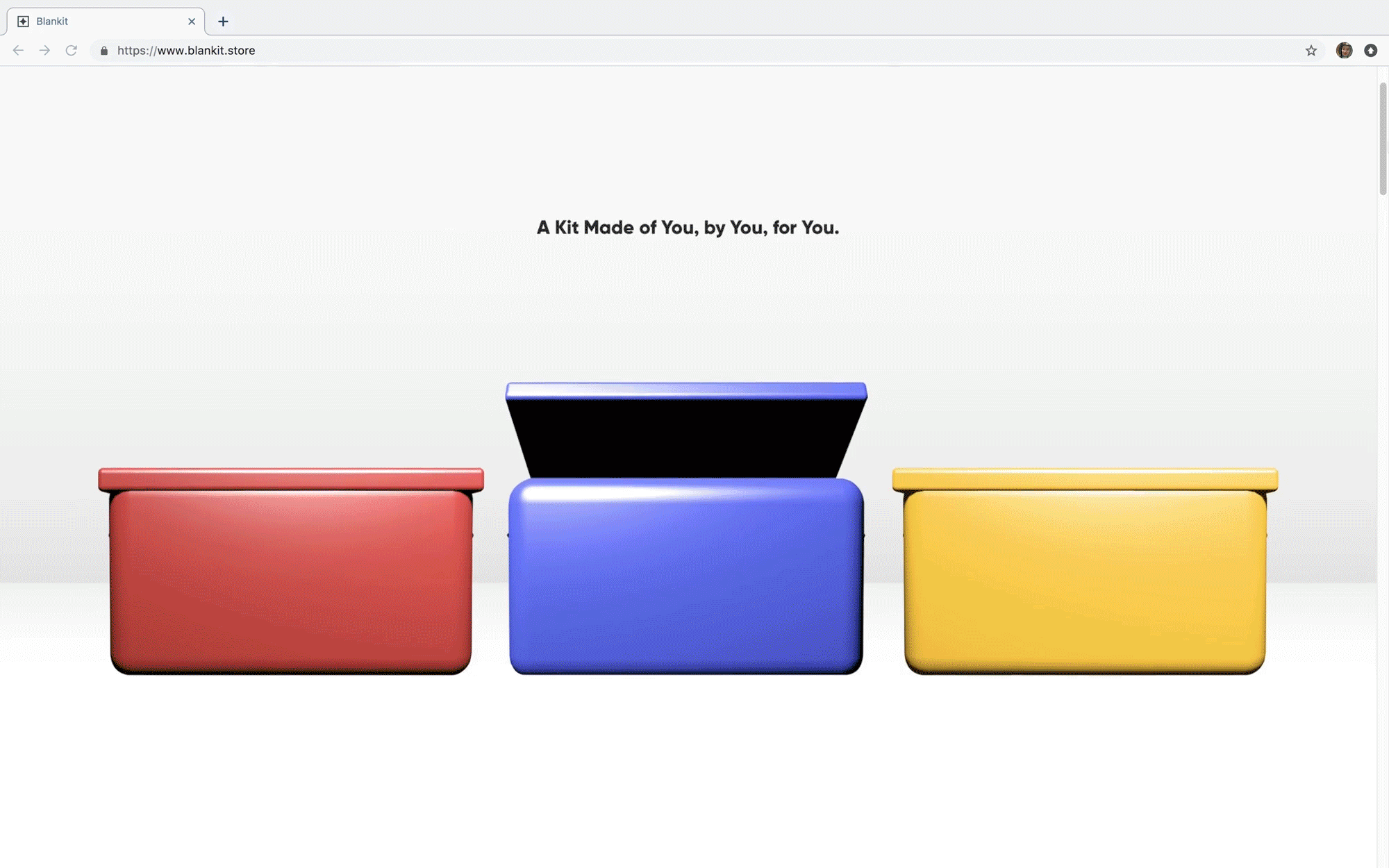 website.gif