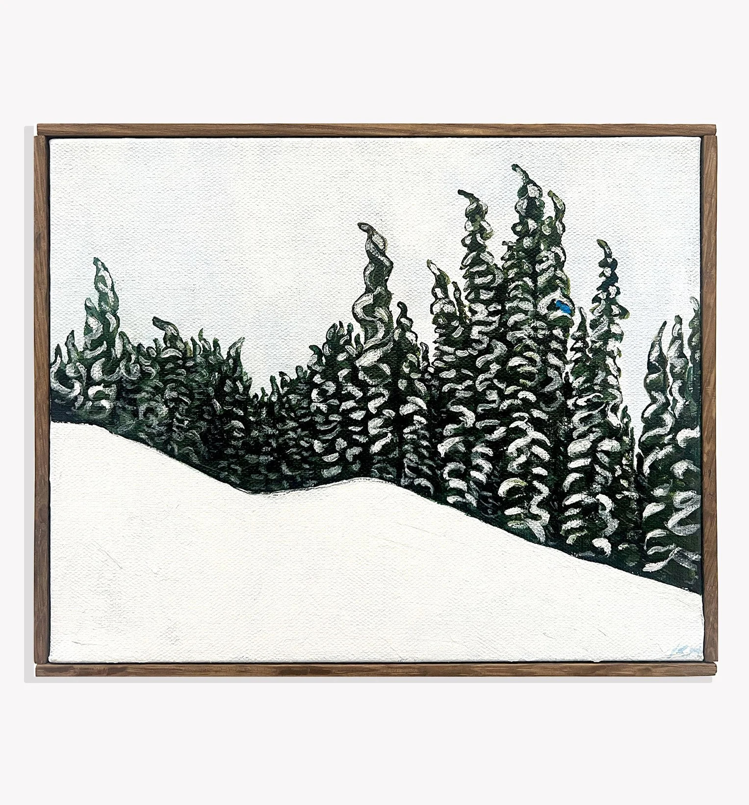   Blue Jay.  Kristi Head 2025. Acrylic on canvas, 8 × 10 inches. 