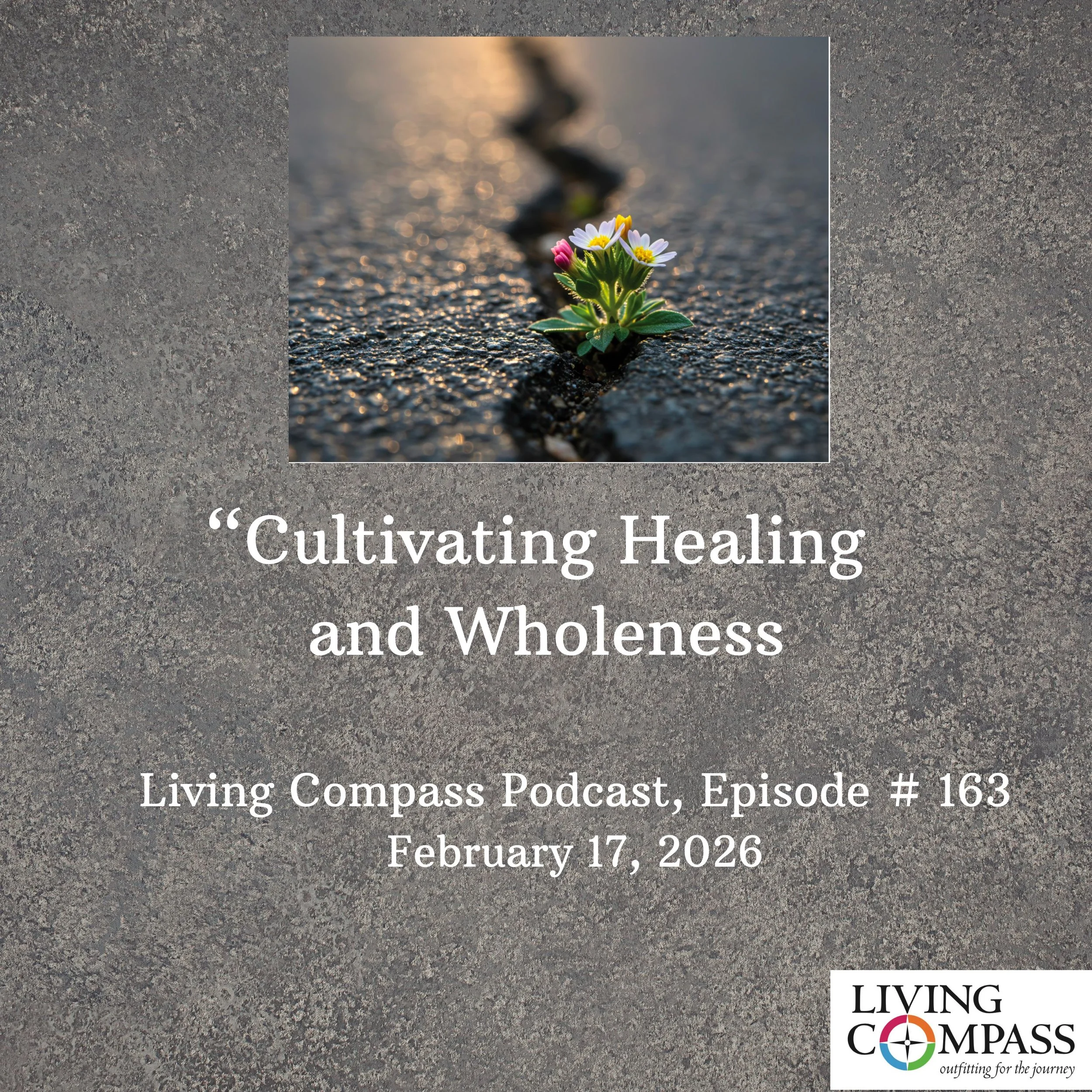"Cultivating Healing and Wholeness," Episode #163, February 17, 2026 