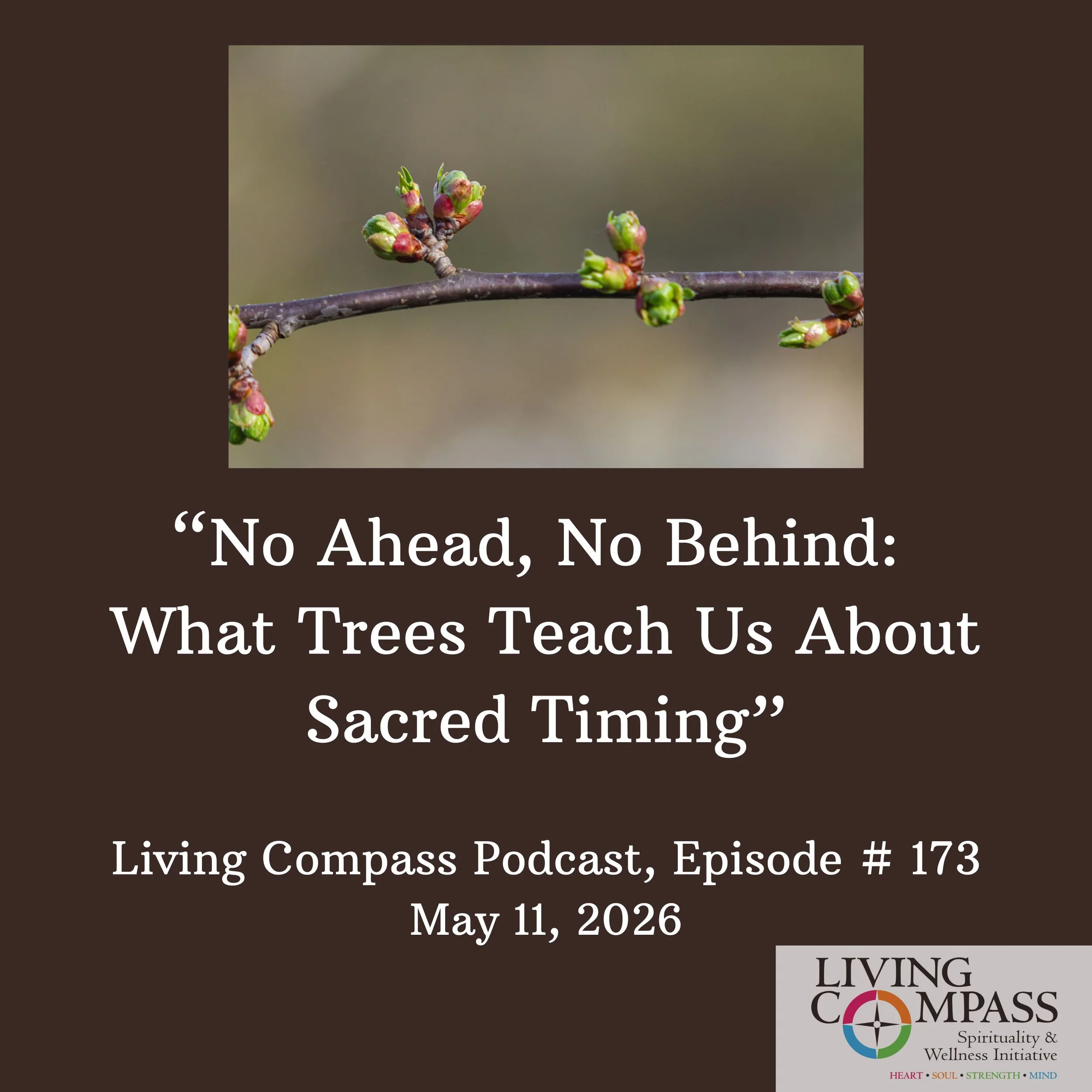 "No Ahead, No Behind: What Trees Can Teach Us About Sacred Timing, "#173, May 11, 2026 