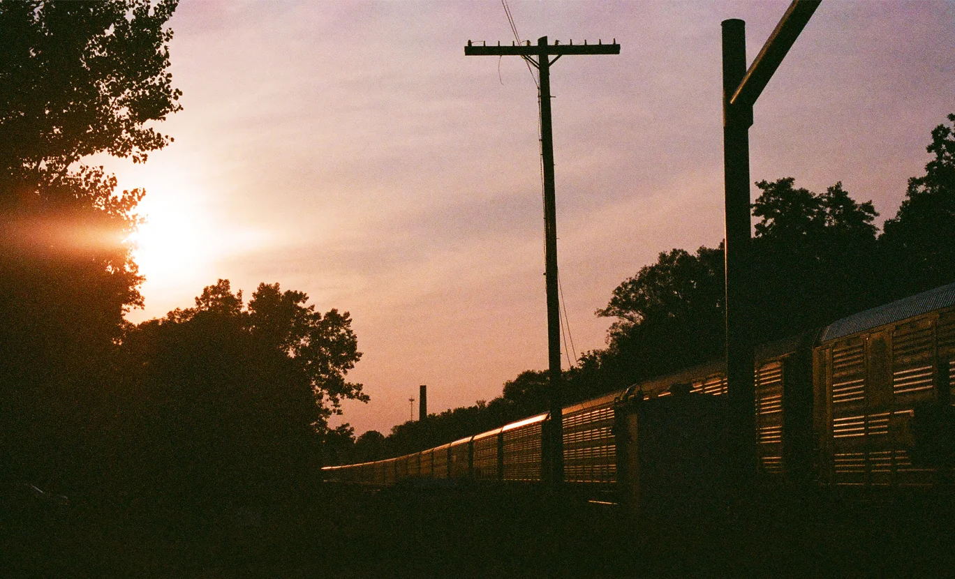 15610022_sm.jpg