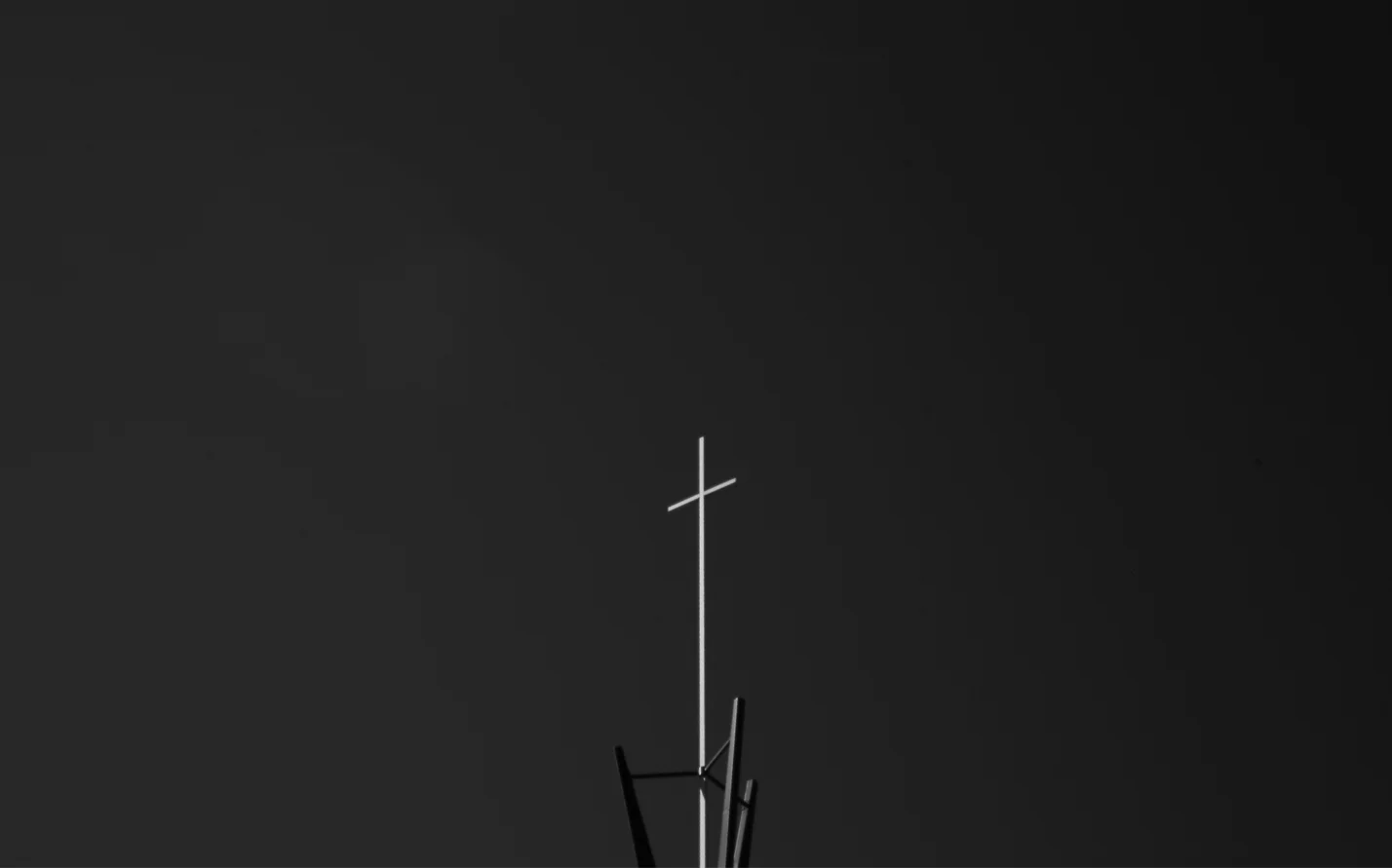 L1007072_sm.jpg