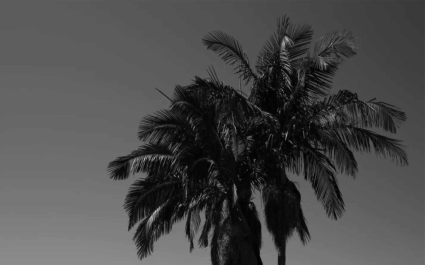 L1002660_sm.jpg
