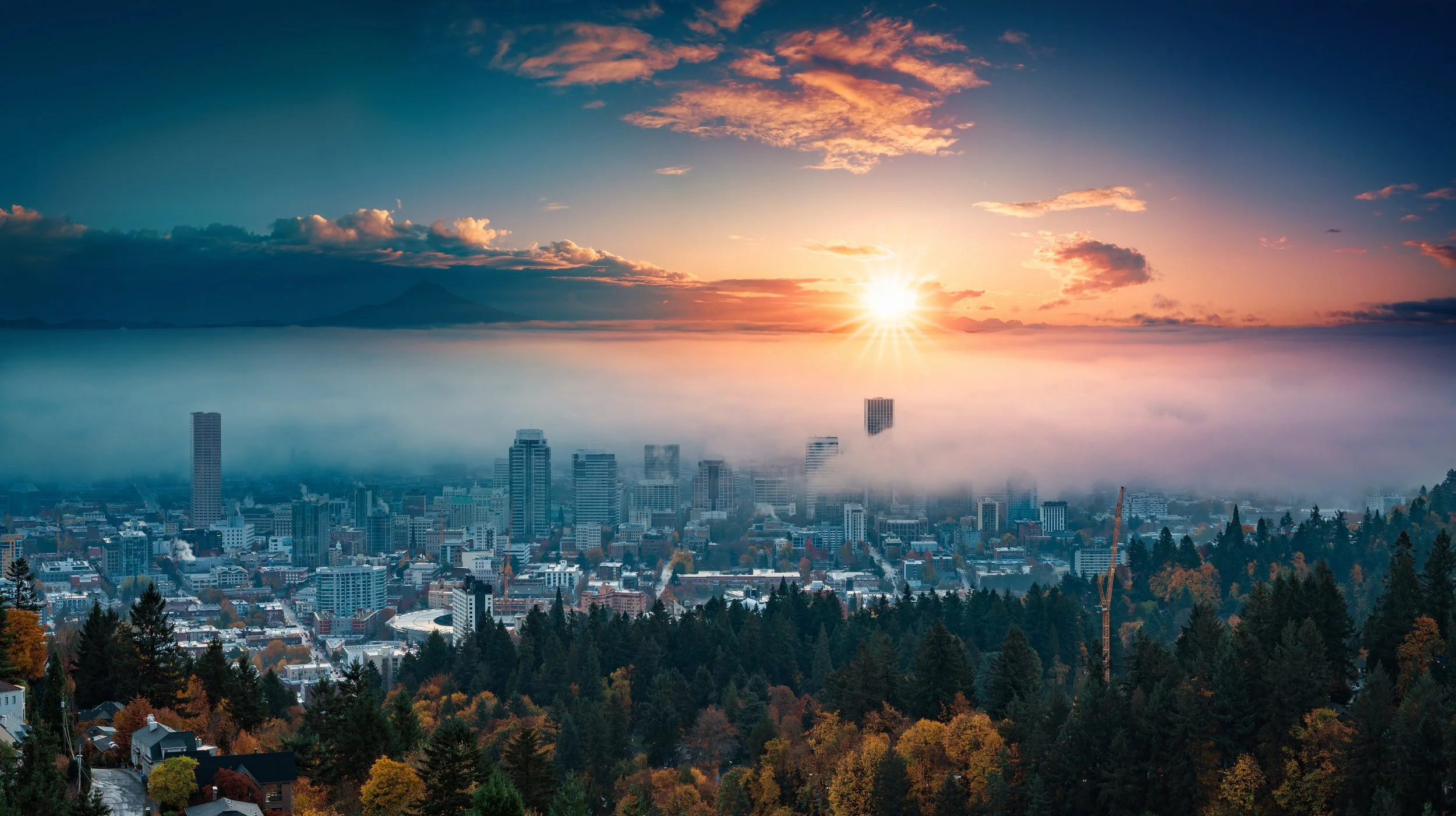 AdobeStock_292256269 copy.jpeg