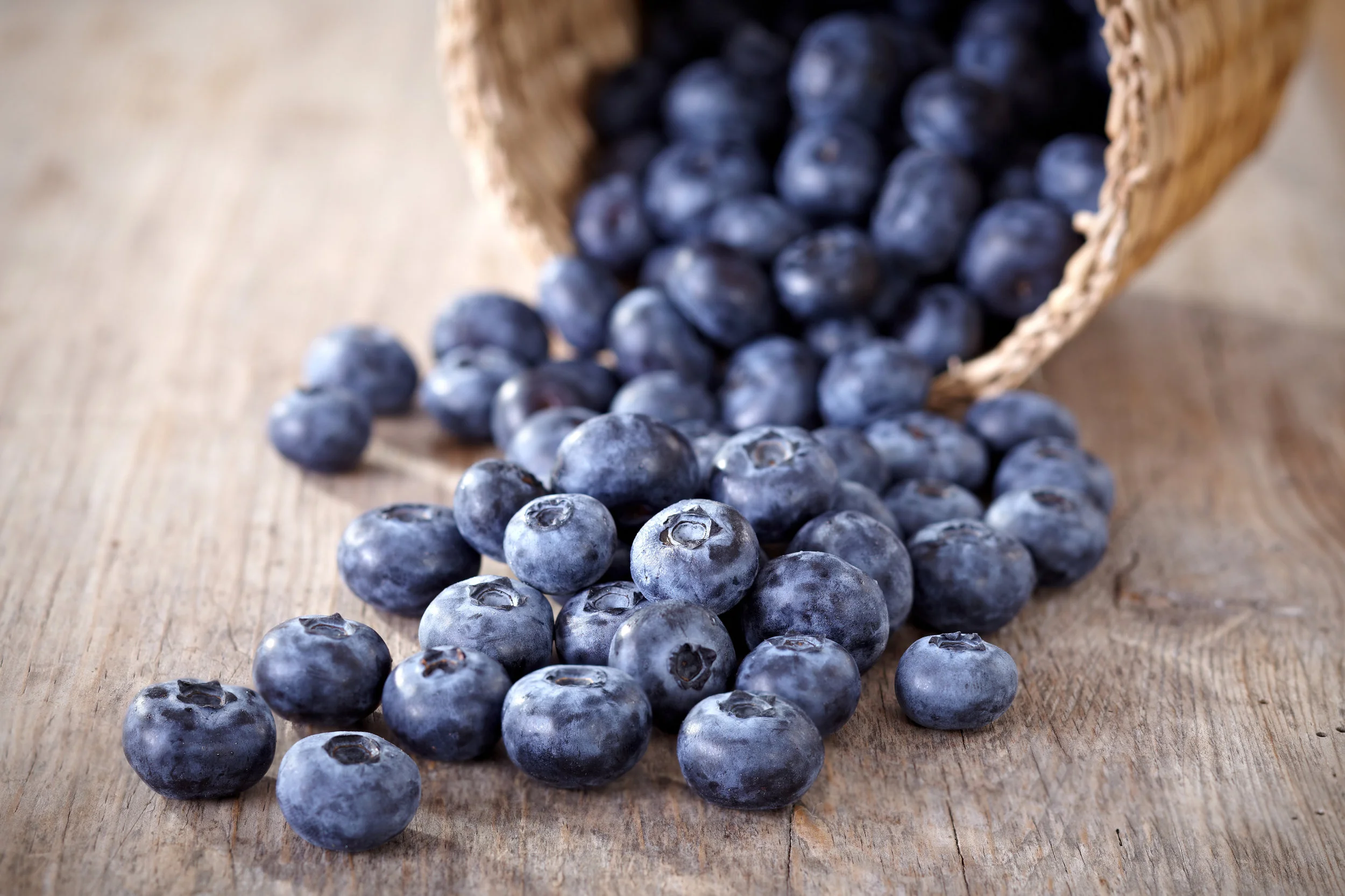 blueberries-P6NRG3L.jpg