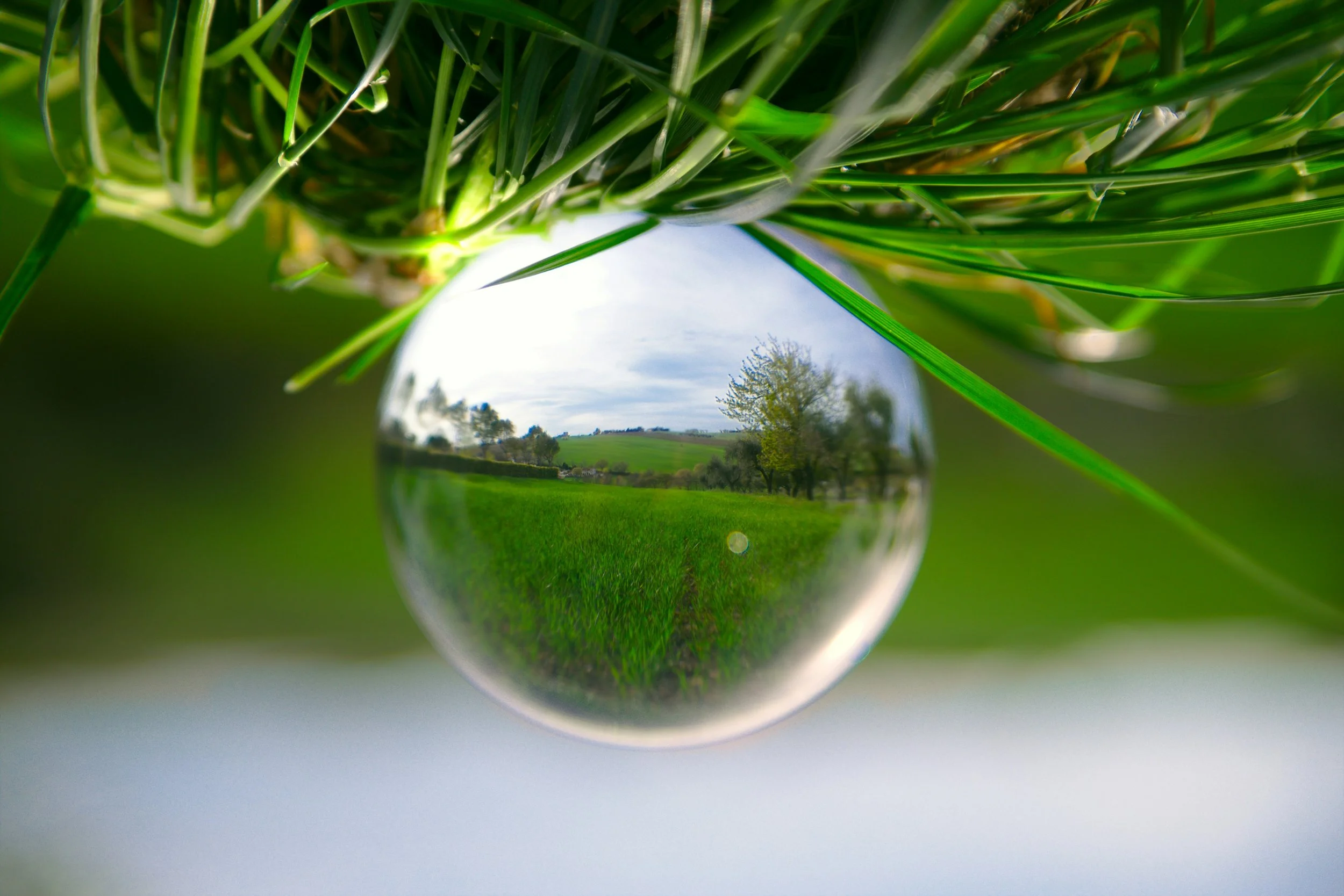 grass and crystal ball.jpg