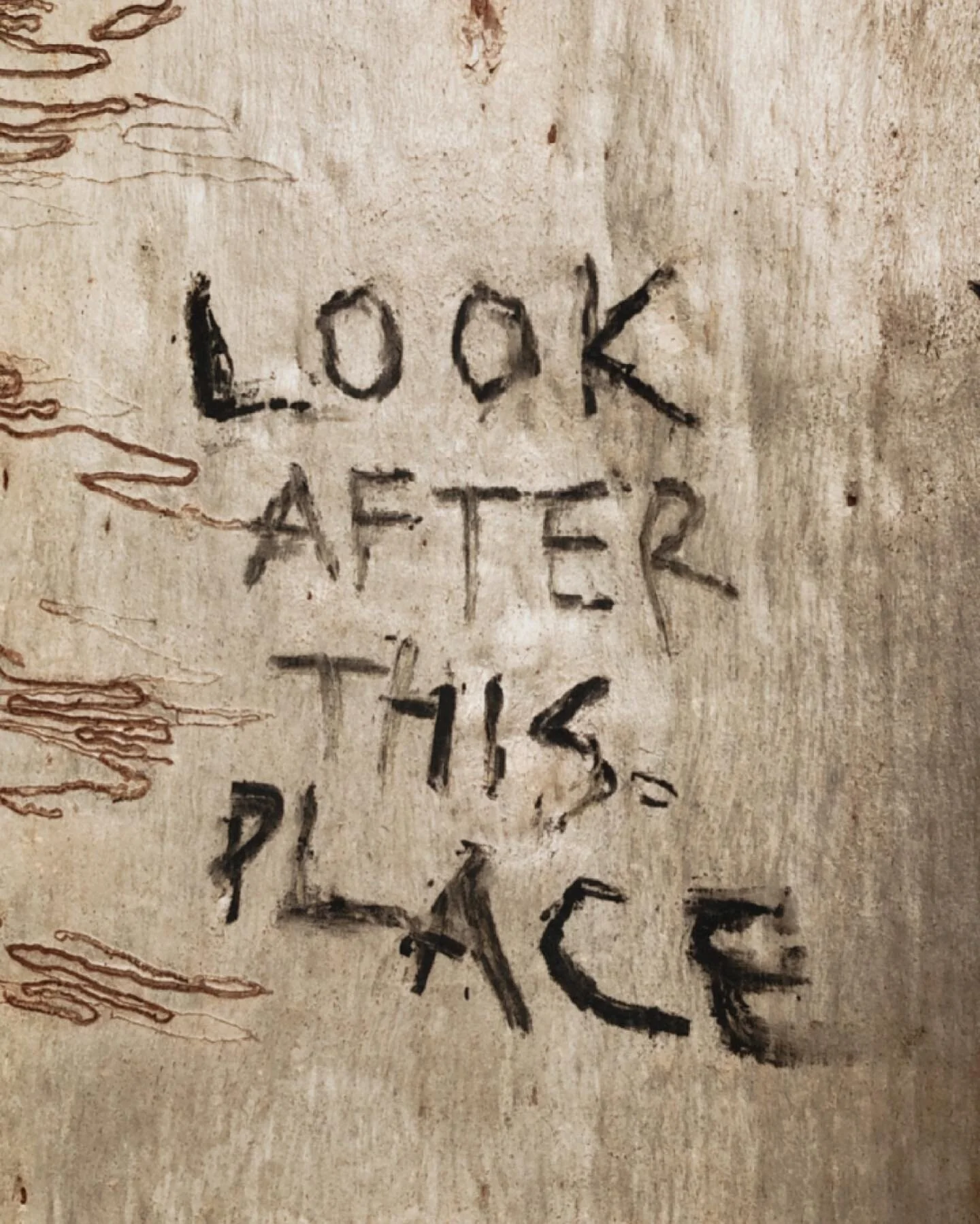 Today begins NAIDOC week! And with this years theme of &lsquo;Heal Country&rsquo; -  I&rsquo;ve been thinking of the ways that can be done. Many ideas come to mind, but none of them seem more healing than education. First Nations education is the onl