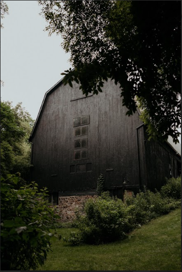 Screenshot 2026-02-02 110127.png