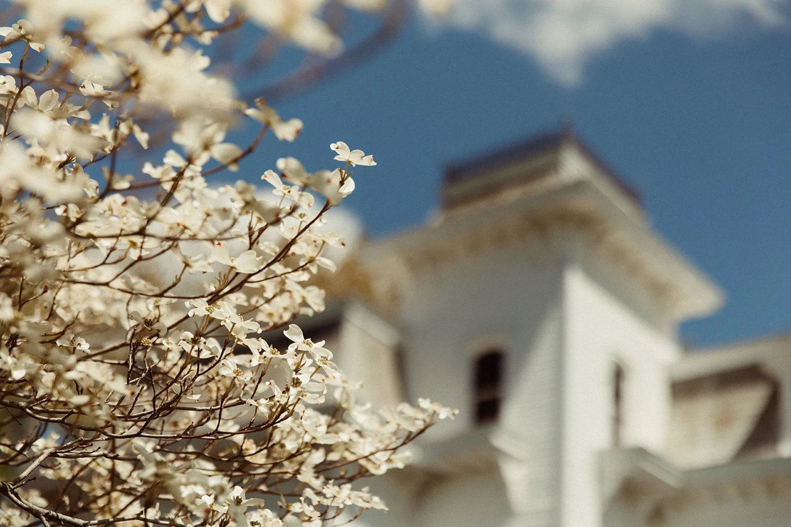 Kester Homestead Market -600_websize.jpg