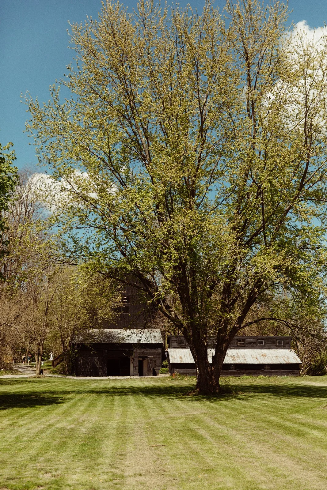 Kester Homestead Market -619_websize.jpg