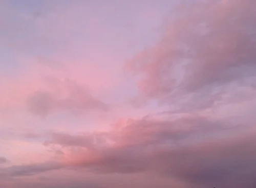 tumblr_n9ceb10IpM1s6uqe4o1_500.jpg