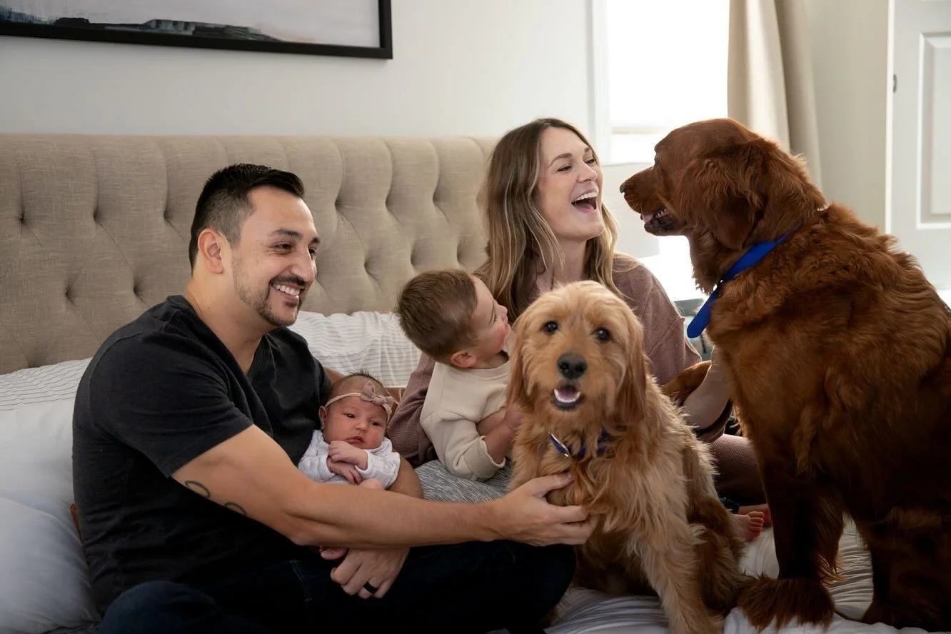 Watching this sweet family grow over the last couple years has been one of my favorite things! Perez, party of 4 + 🐶🐶