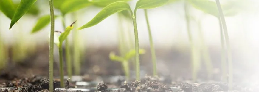 farmers guide cover.JPG