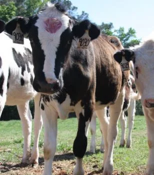 Georgia Farmers and Landowners New Tax Law Workshops