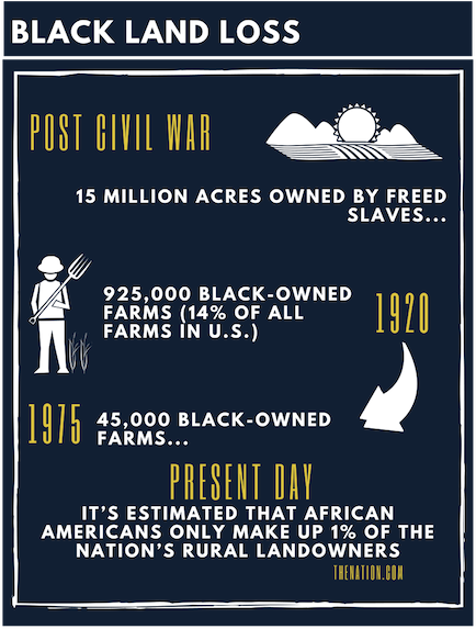 CROPPED+INFOGRAPHIC.png