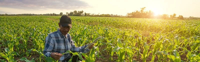 2022 ANNUAL SMALL FARM CONFERENCE: “FARMING IN CHALLENGING TIMES”