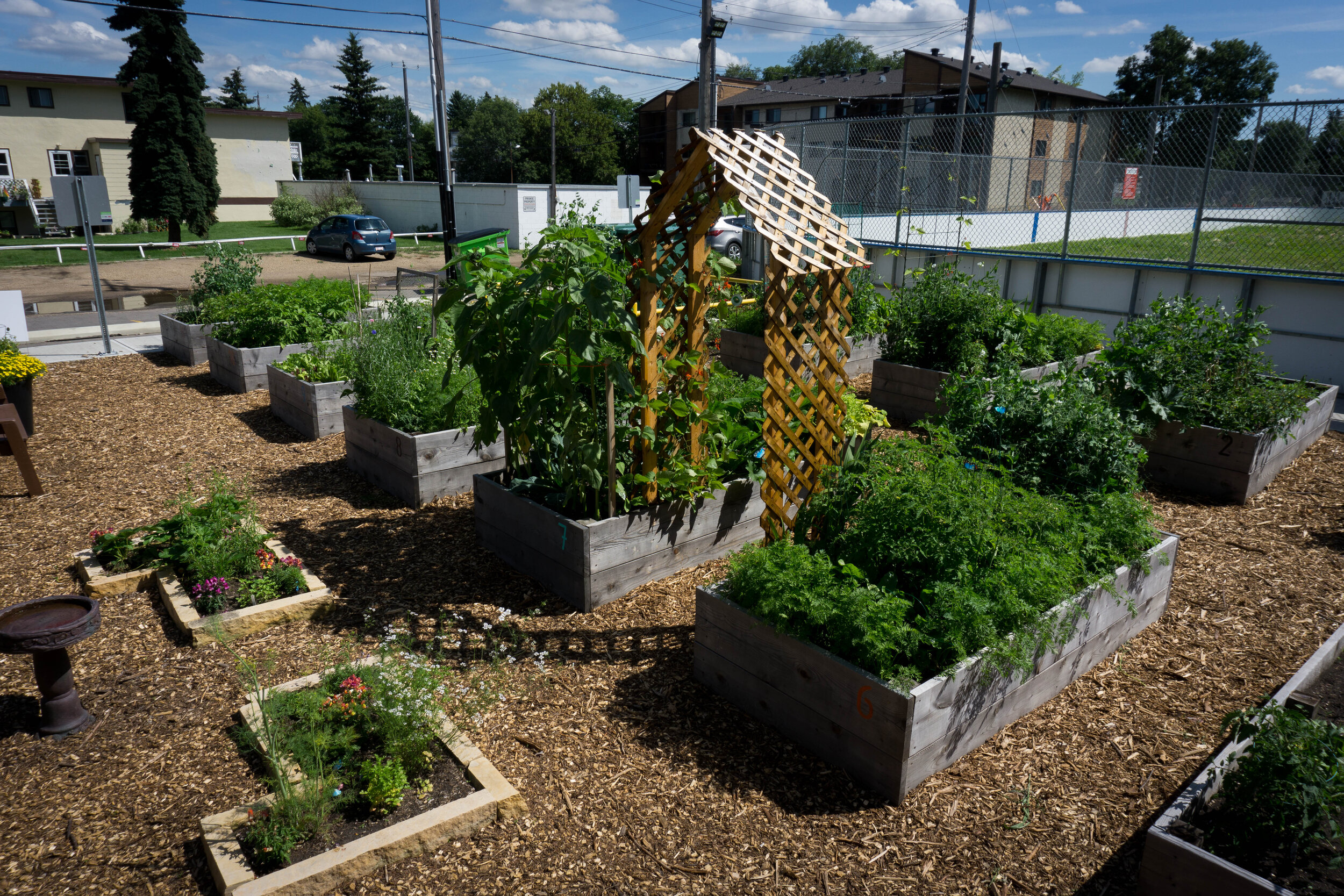 Community Garden High.jpg