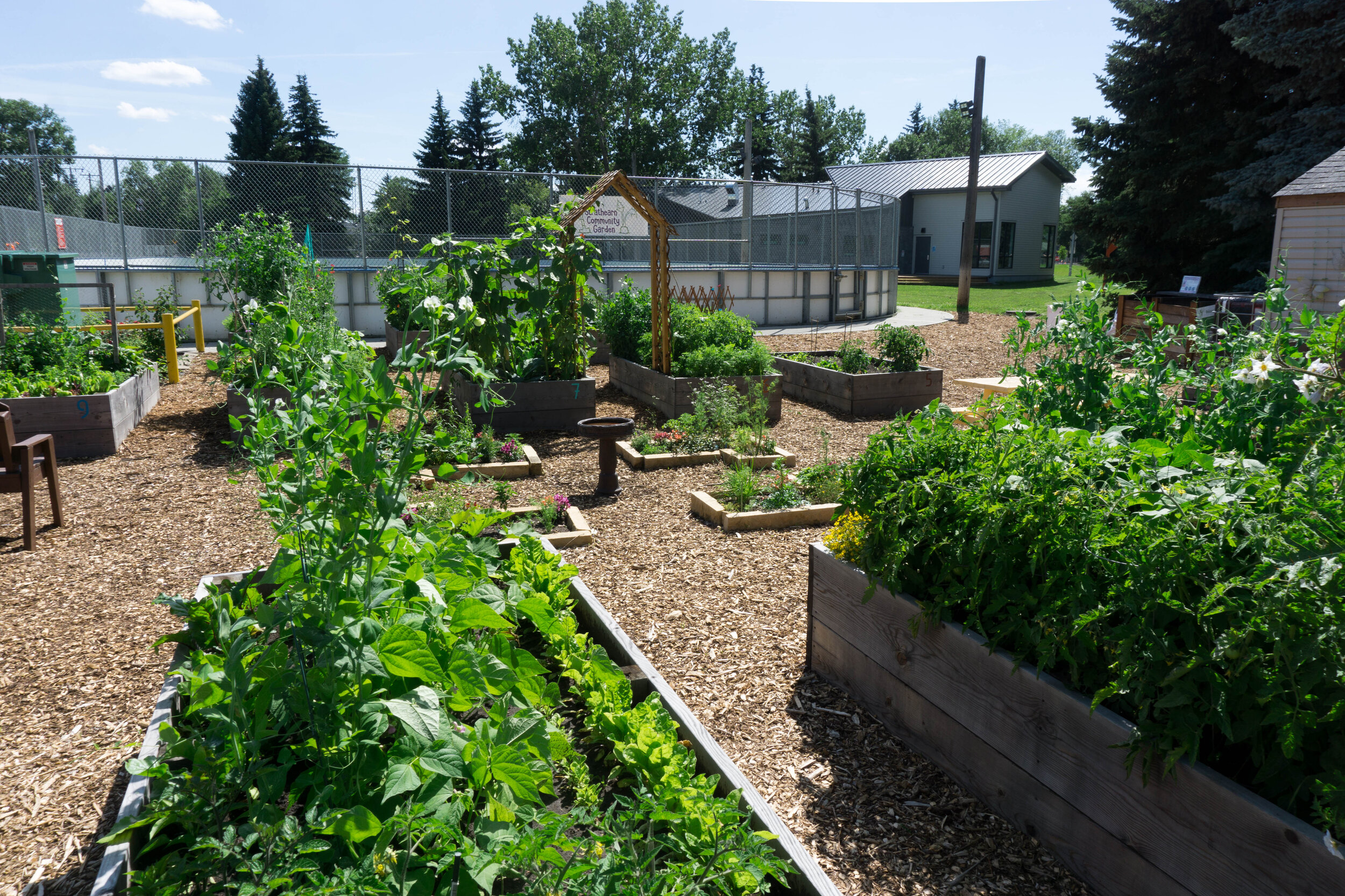 Community Garden South View.jpg