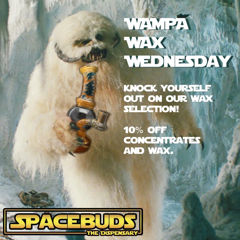 wampawaxwednesday.jpg
