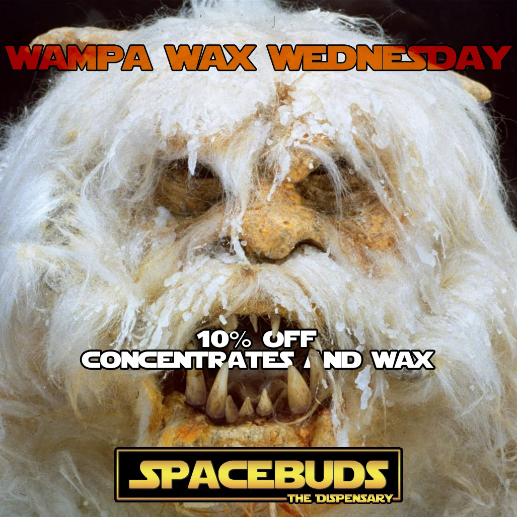 wampawed2.jpg