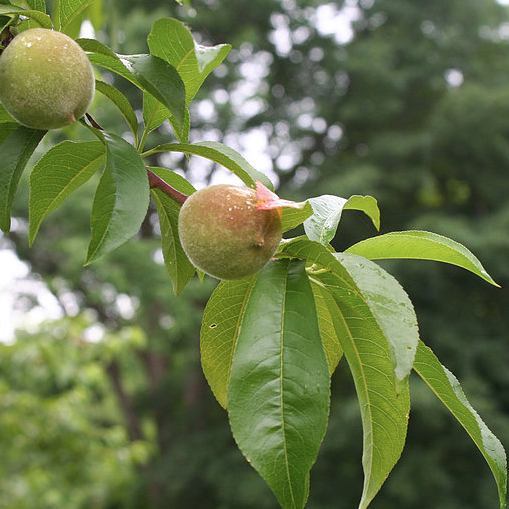 Screen Shot 2018-04-15 at 4.08.46 PM.png