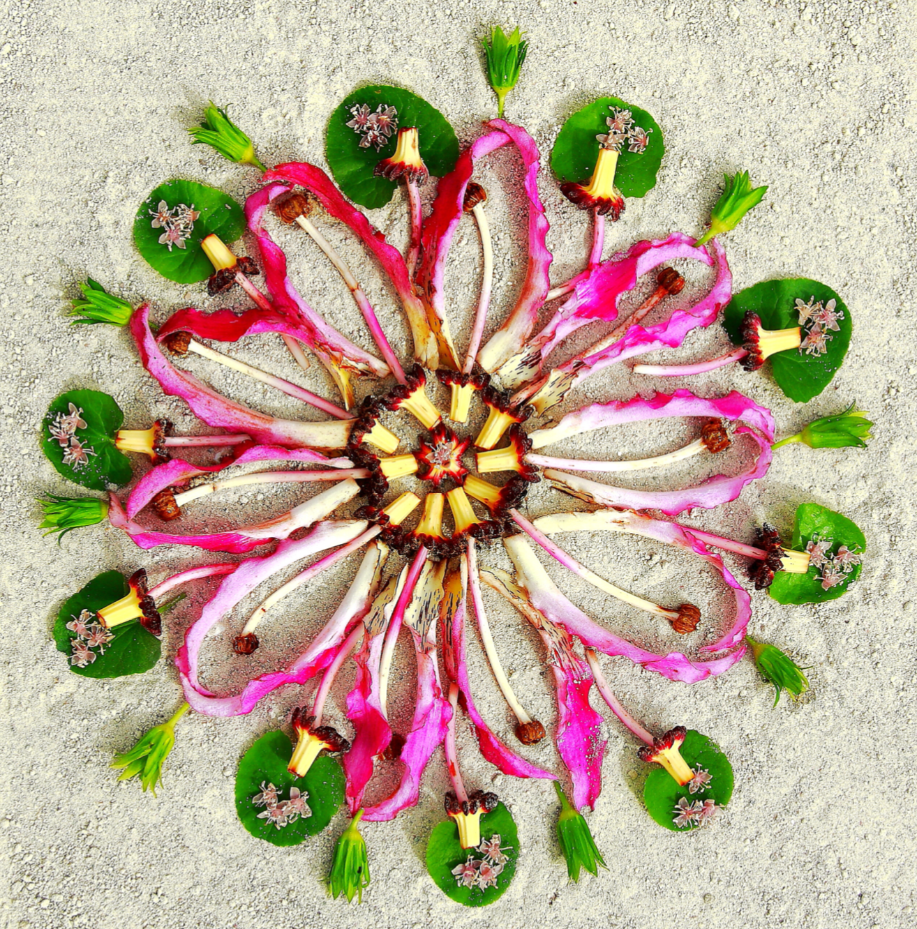 Photo courtesy of www.thecircleway.net