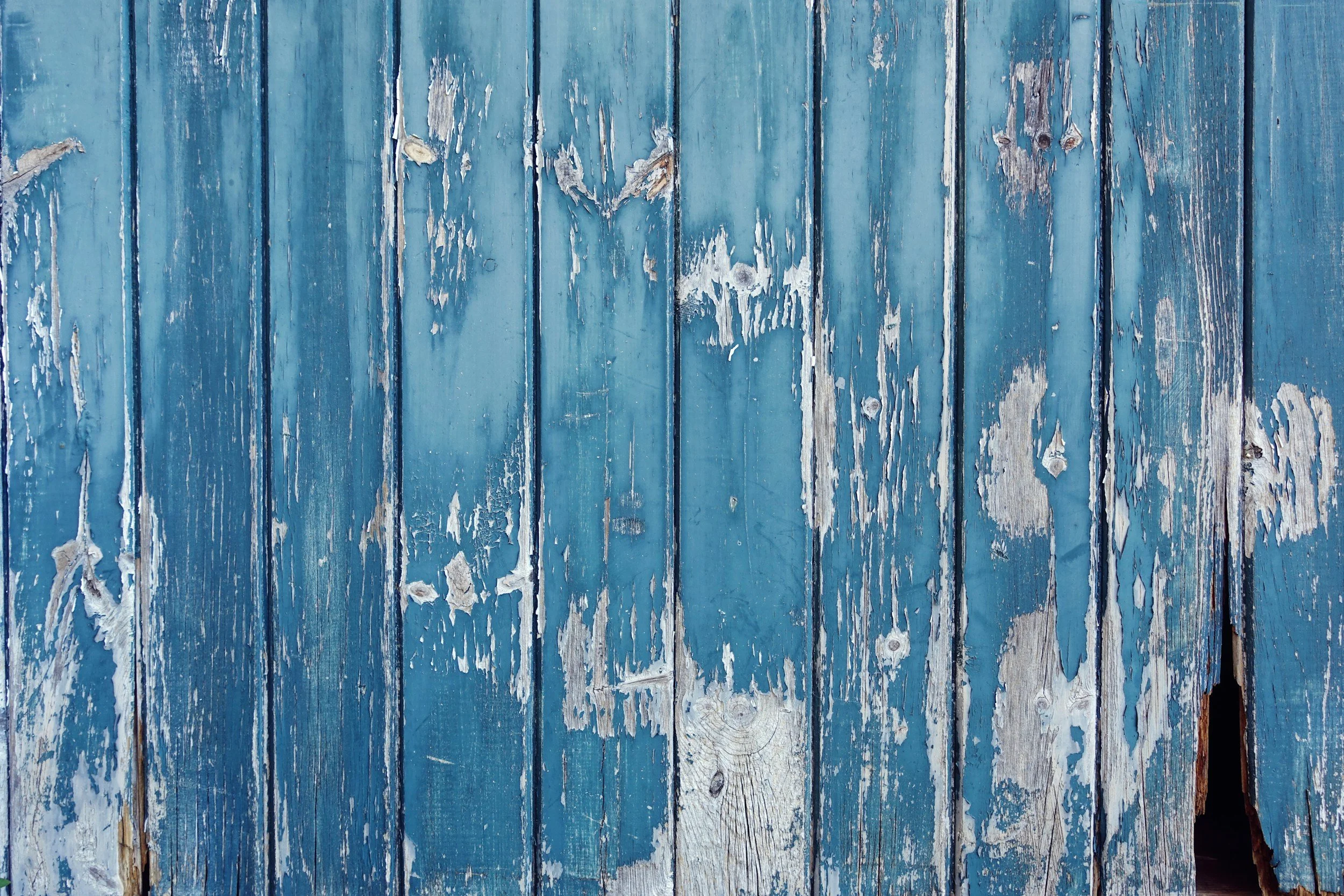unsplash-image-qvKqFulTwdg.jpg