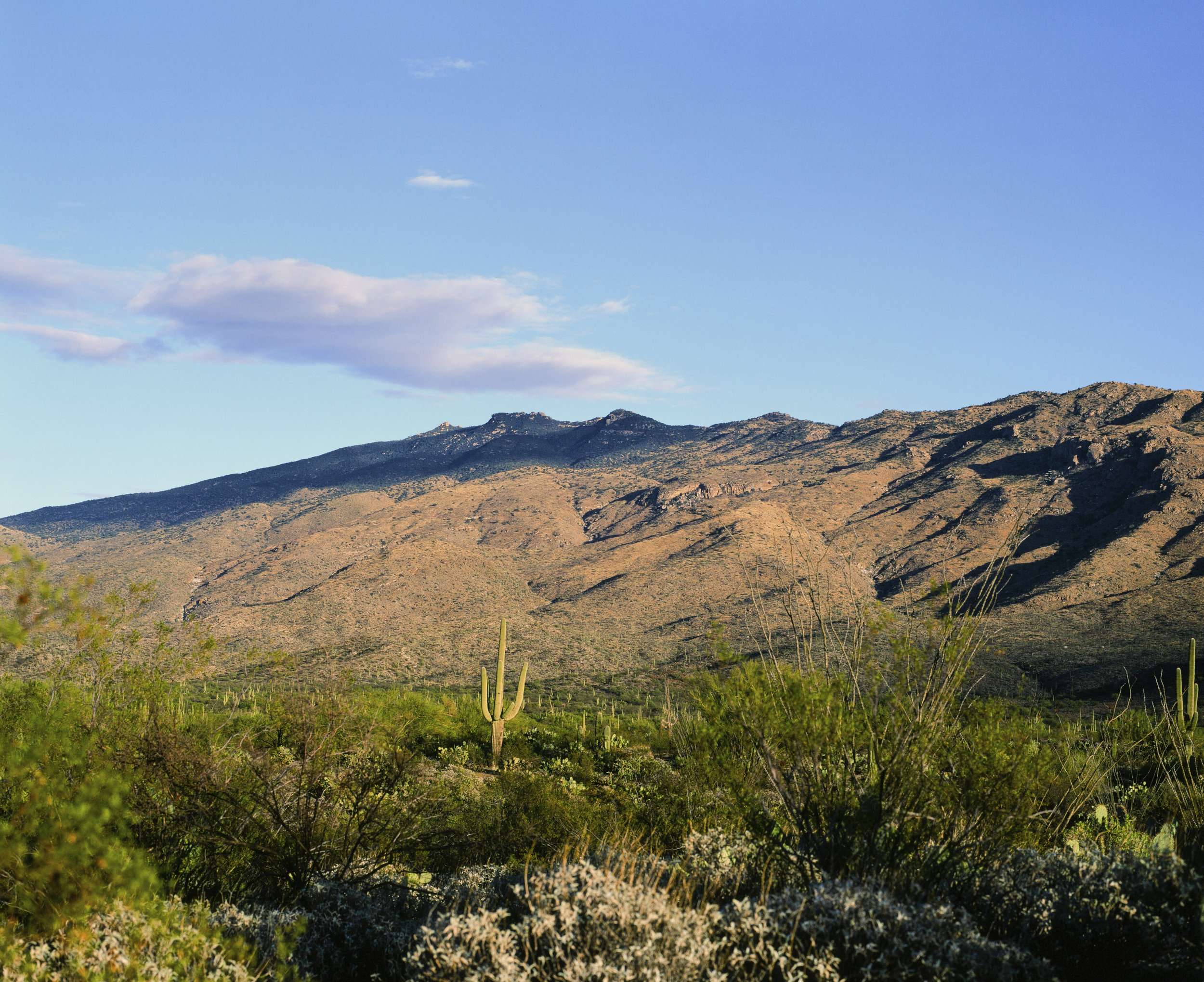 Tucson-38 1.jpg