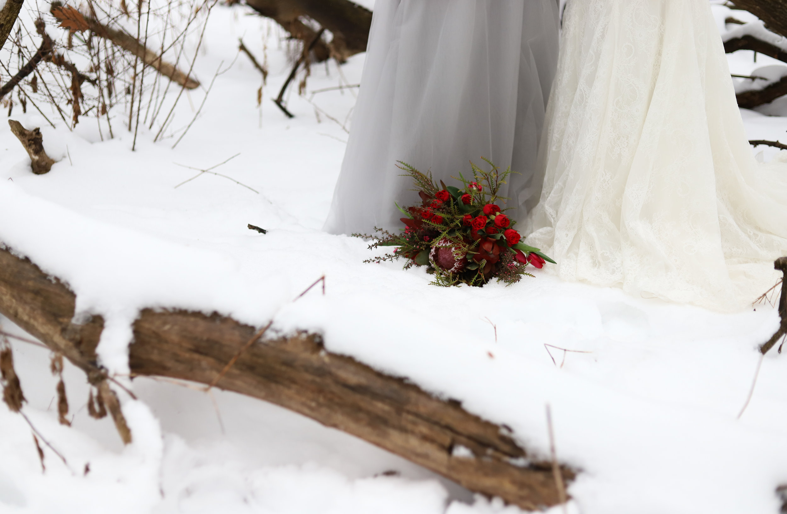 best places to get married in colorado