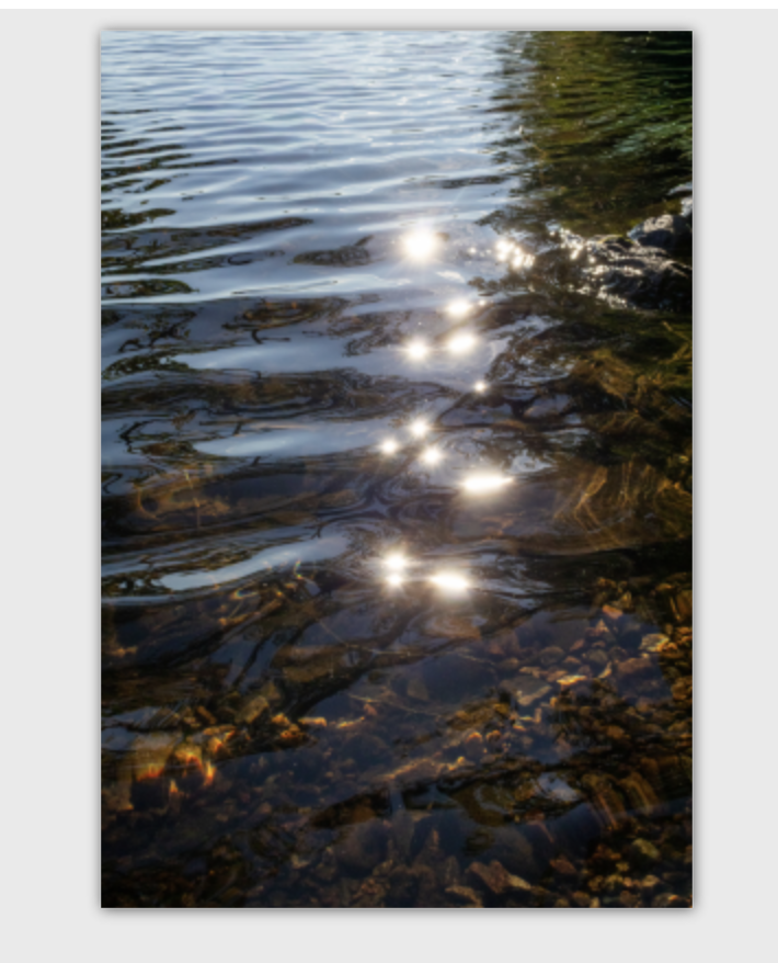 Screenshot 2026-02-09 at 2.08.46 PM.png