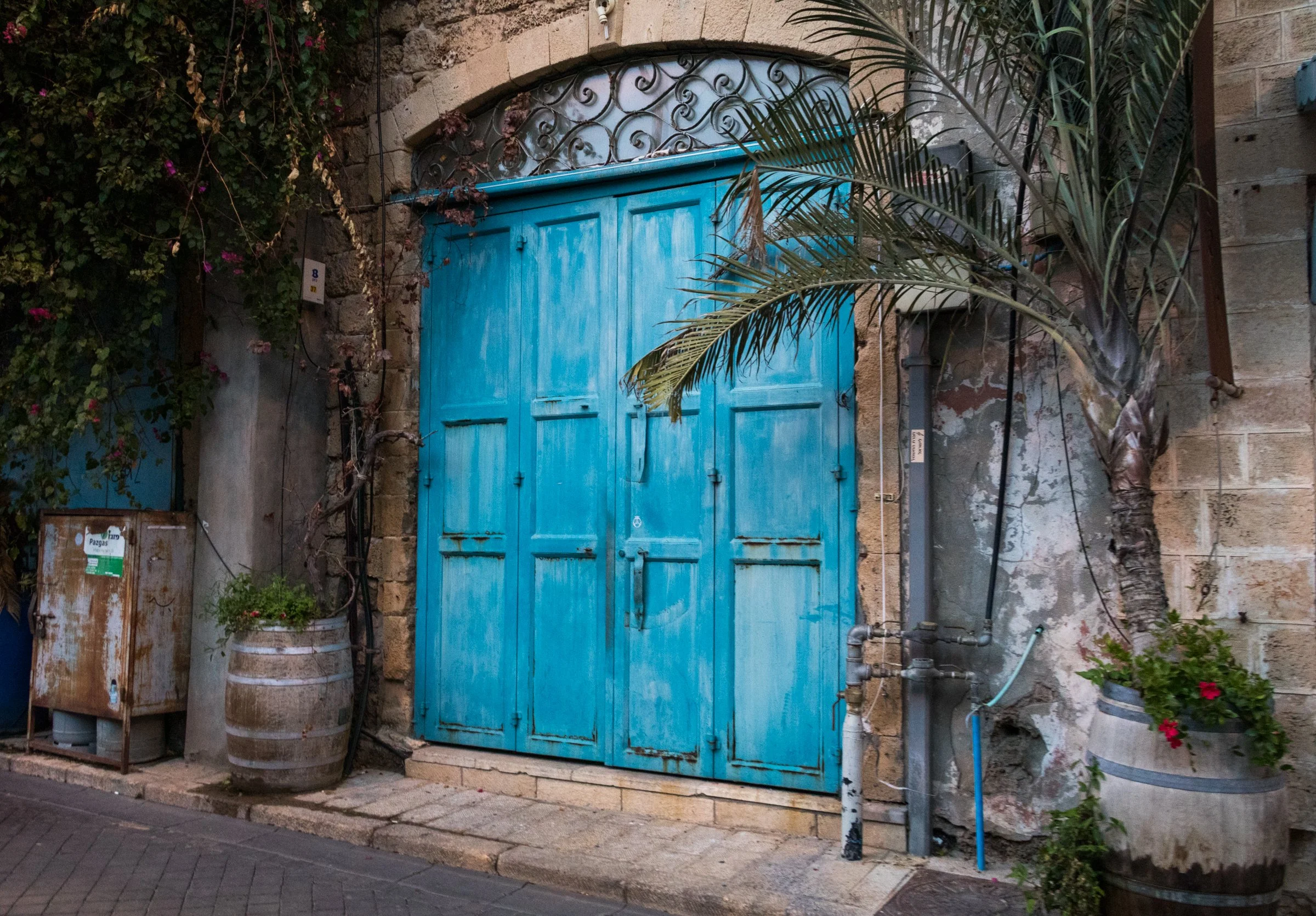 israelphotographer-13.jpg