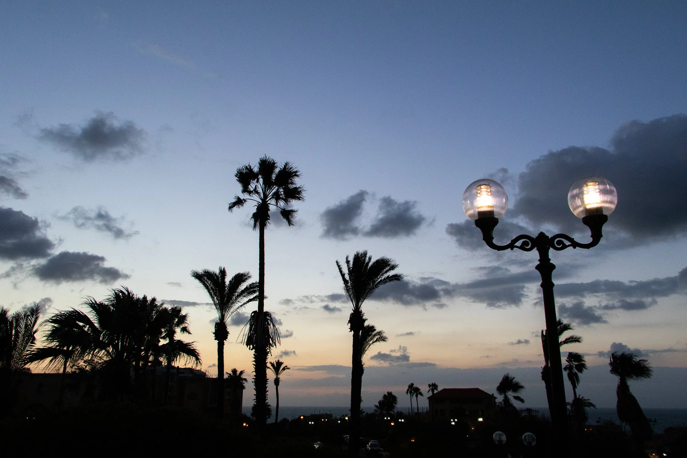israelphotographer-16.jpg