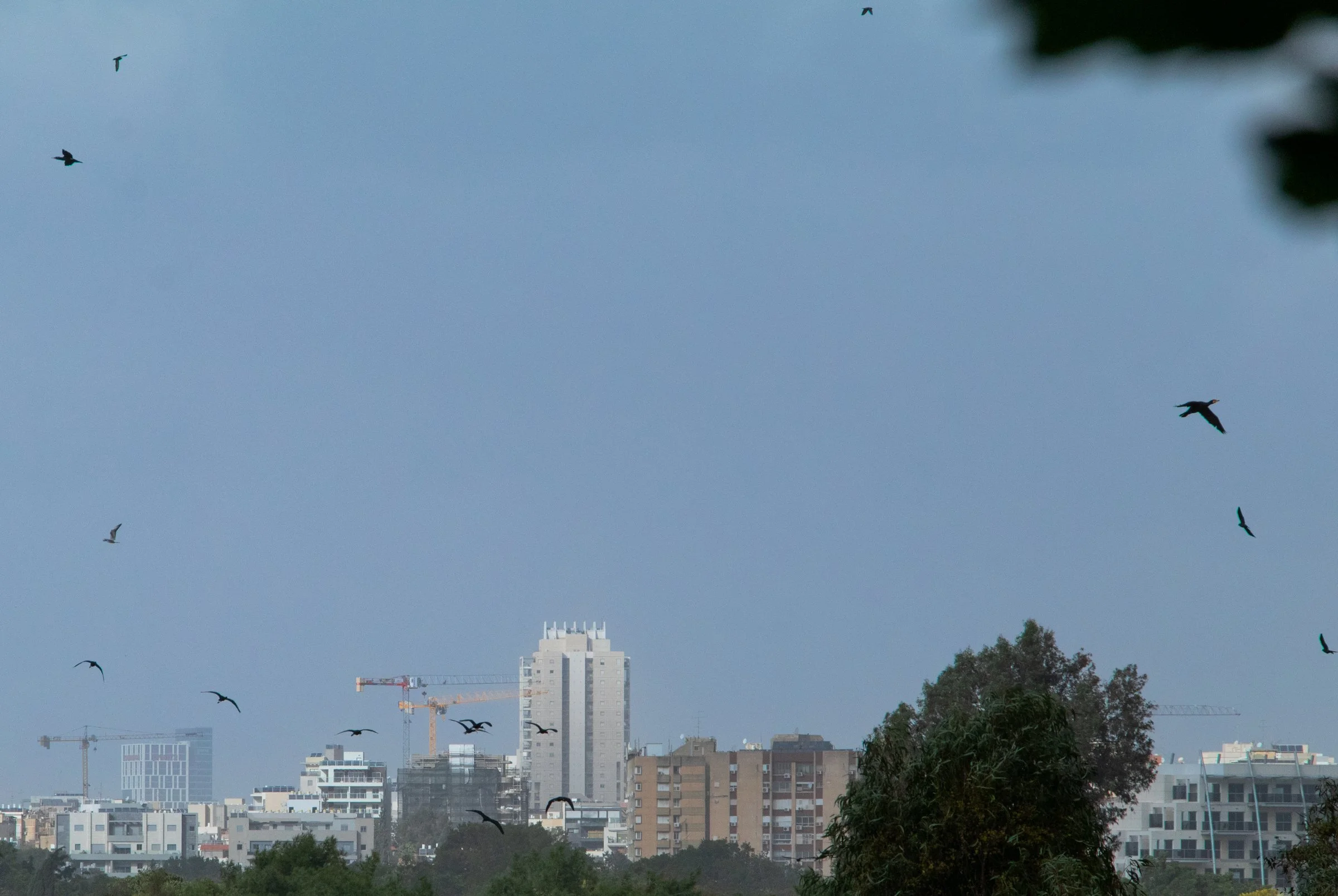israelphotographer-42.jpg