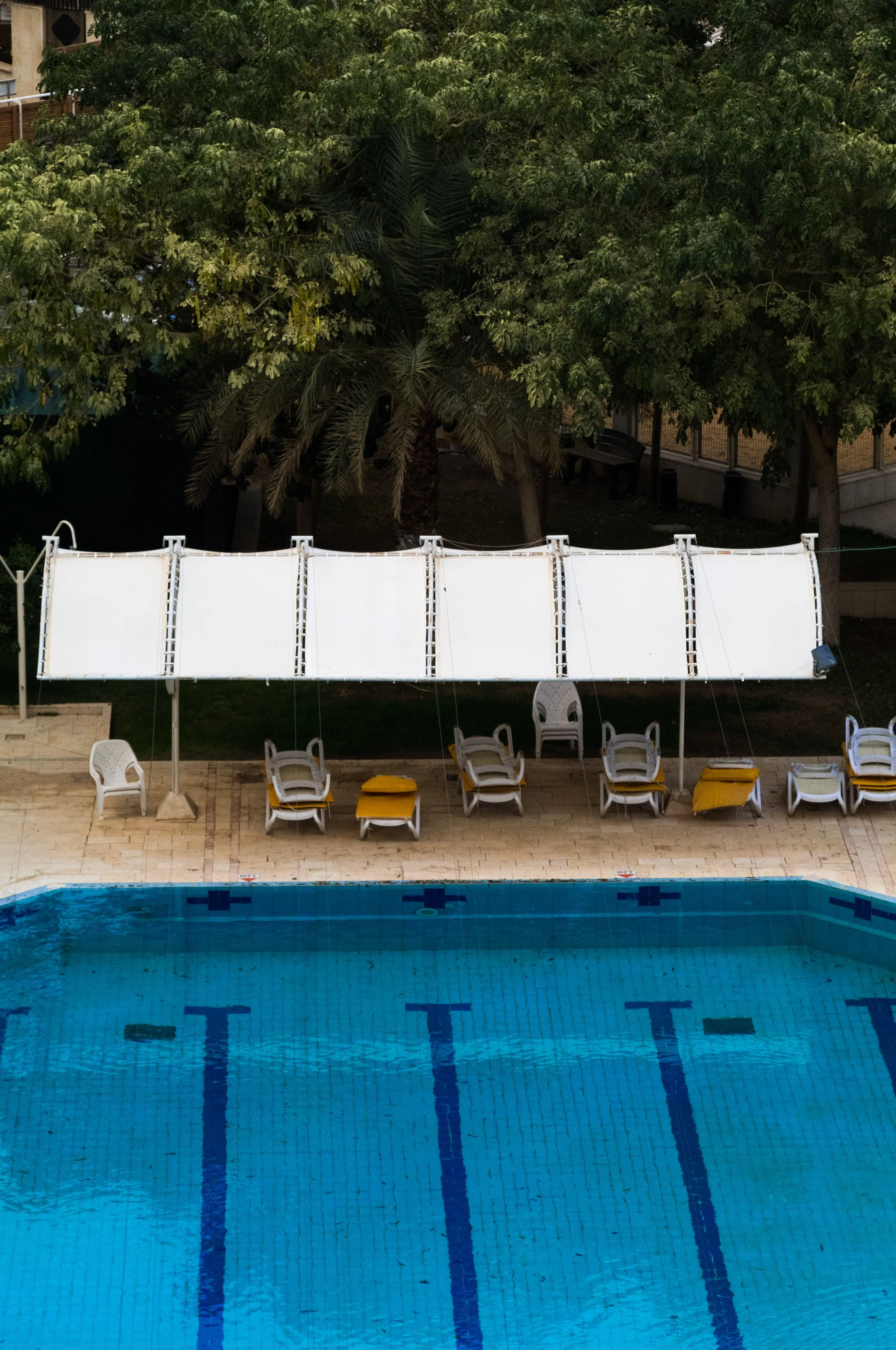israelphotographer-53.jpg