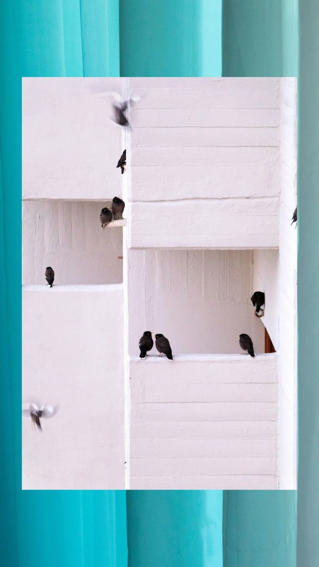 Untitled design.jpg