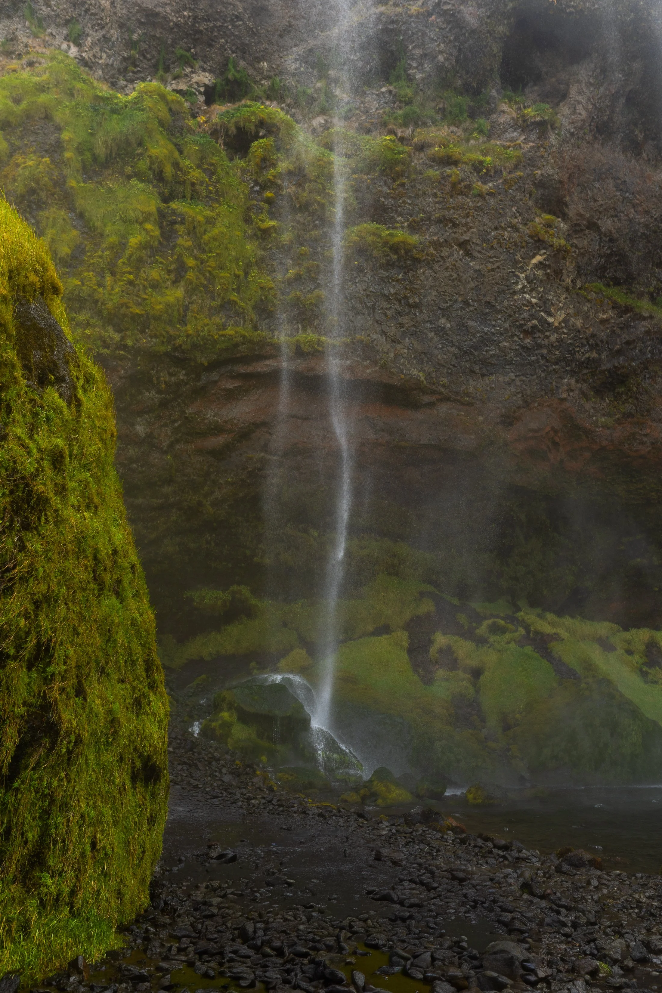 AnnahMeintzerPhotography-193.jpg