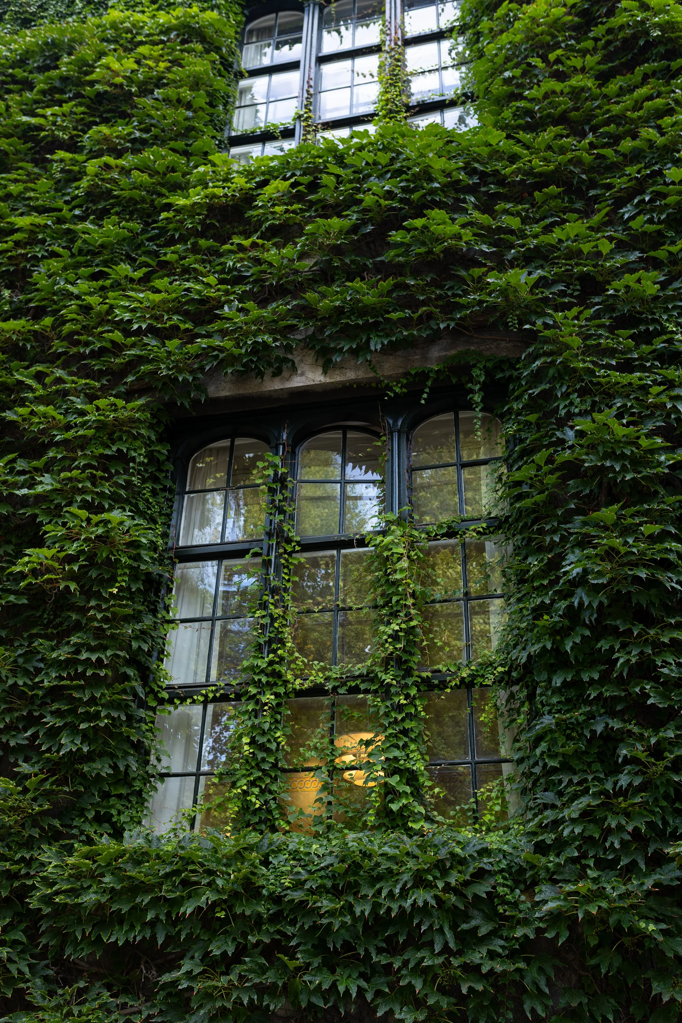 AnnahMeintzerPhotography-494.jpg