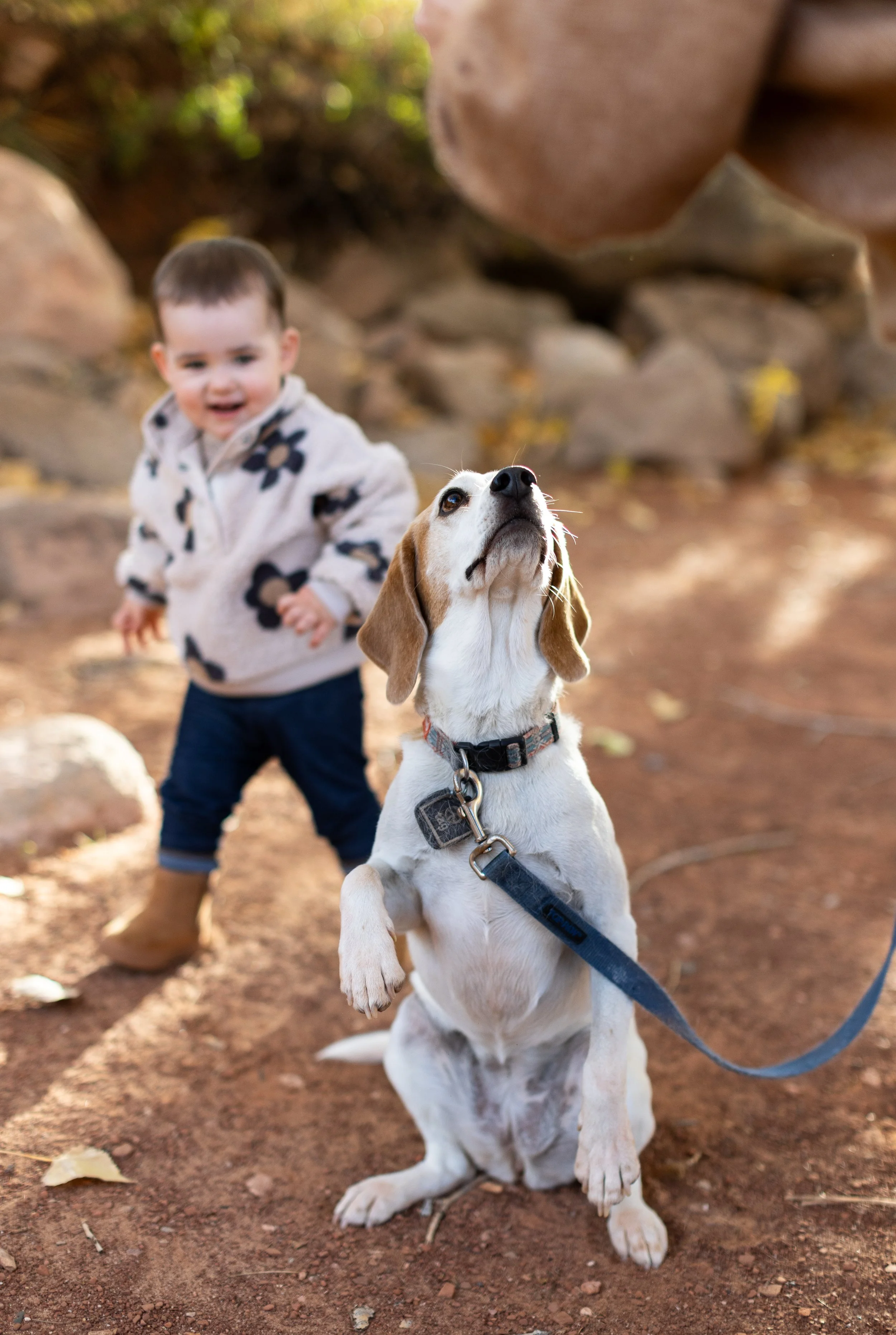 AnnahMeintzerPhotography-94.jpg
