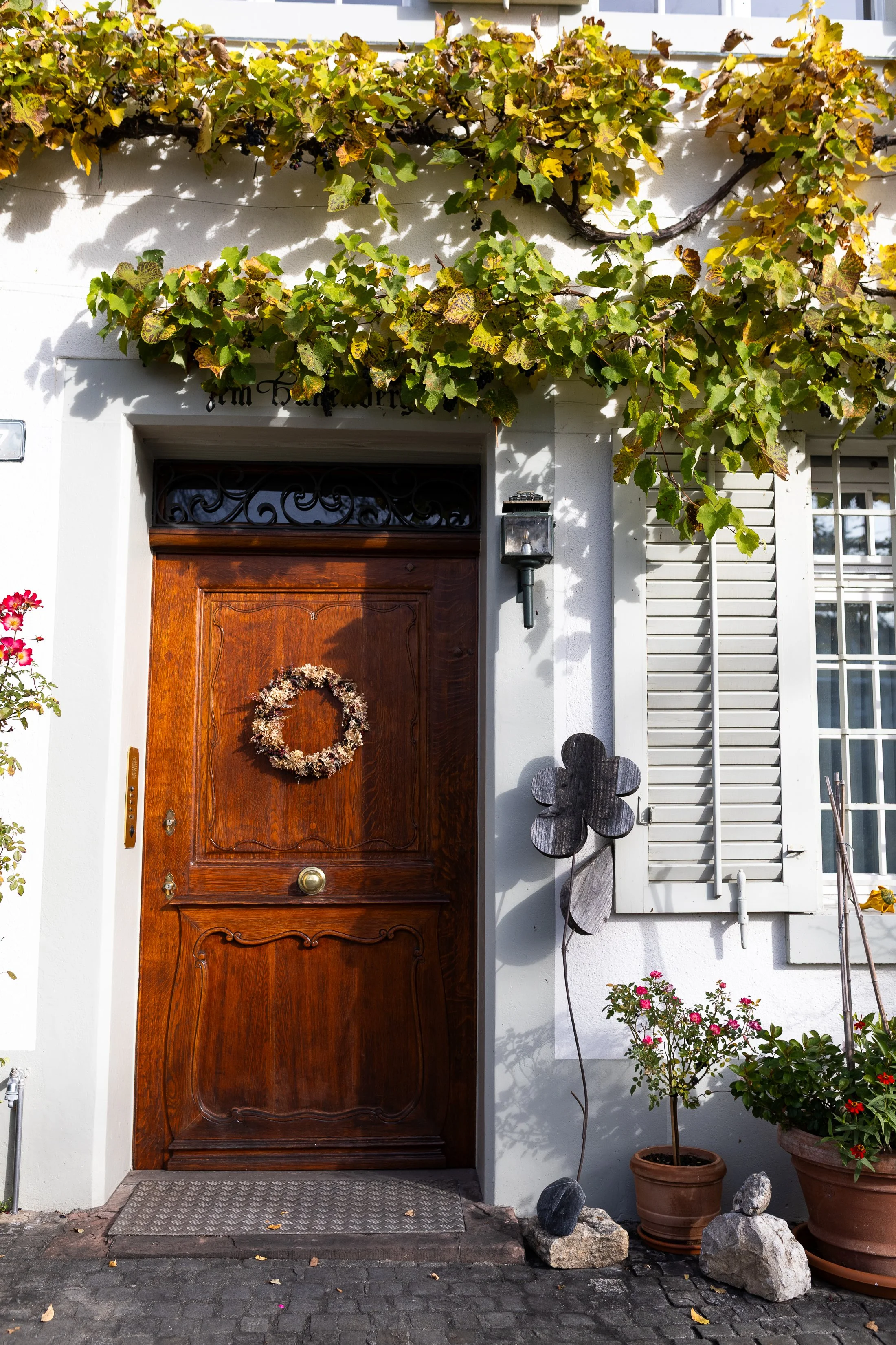 AnnahMeintzerPhotography-119.jpg