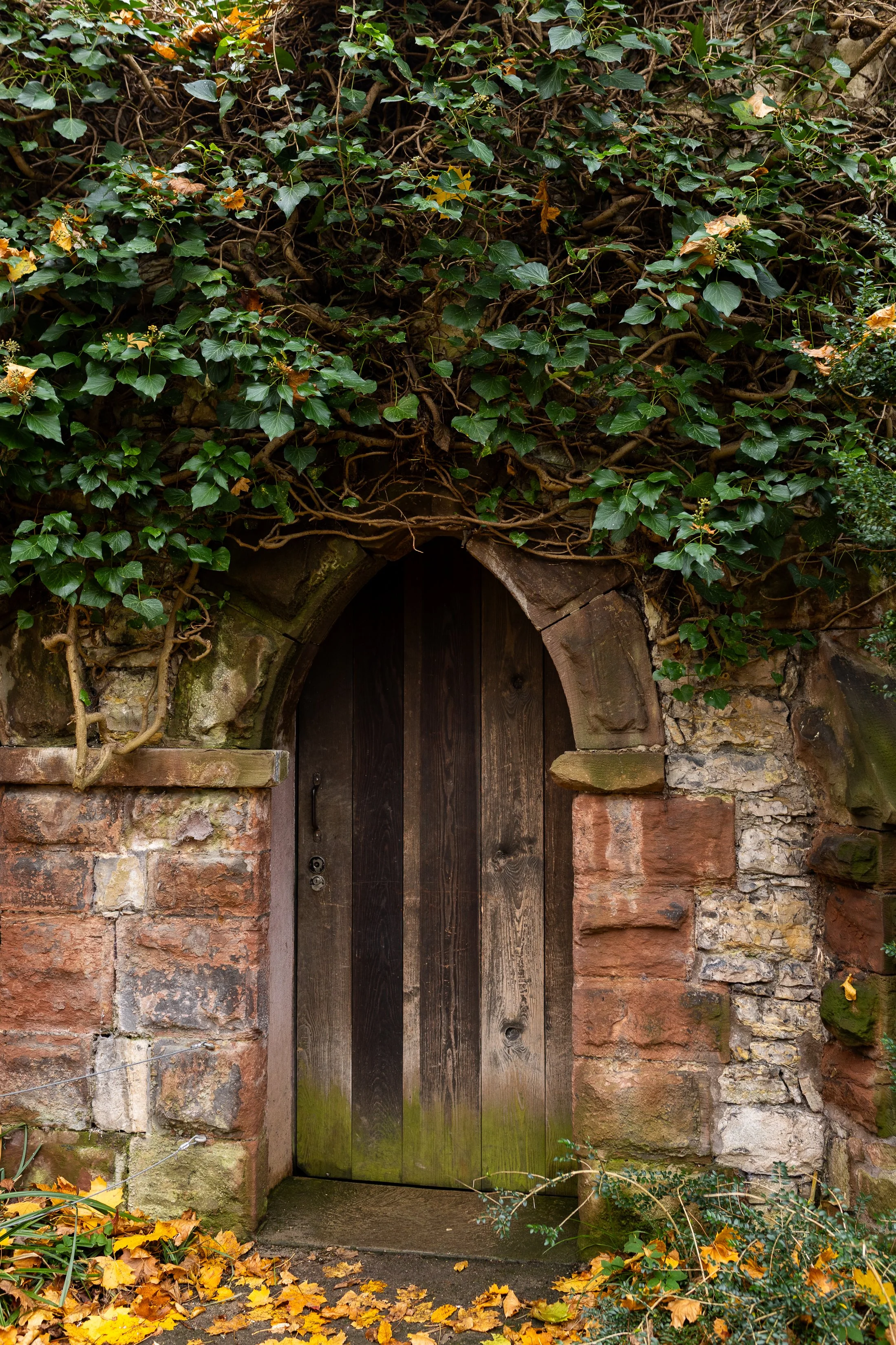 AnnahMeintzerPhotography-251.jpg