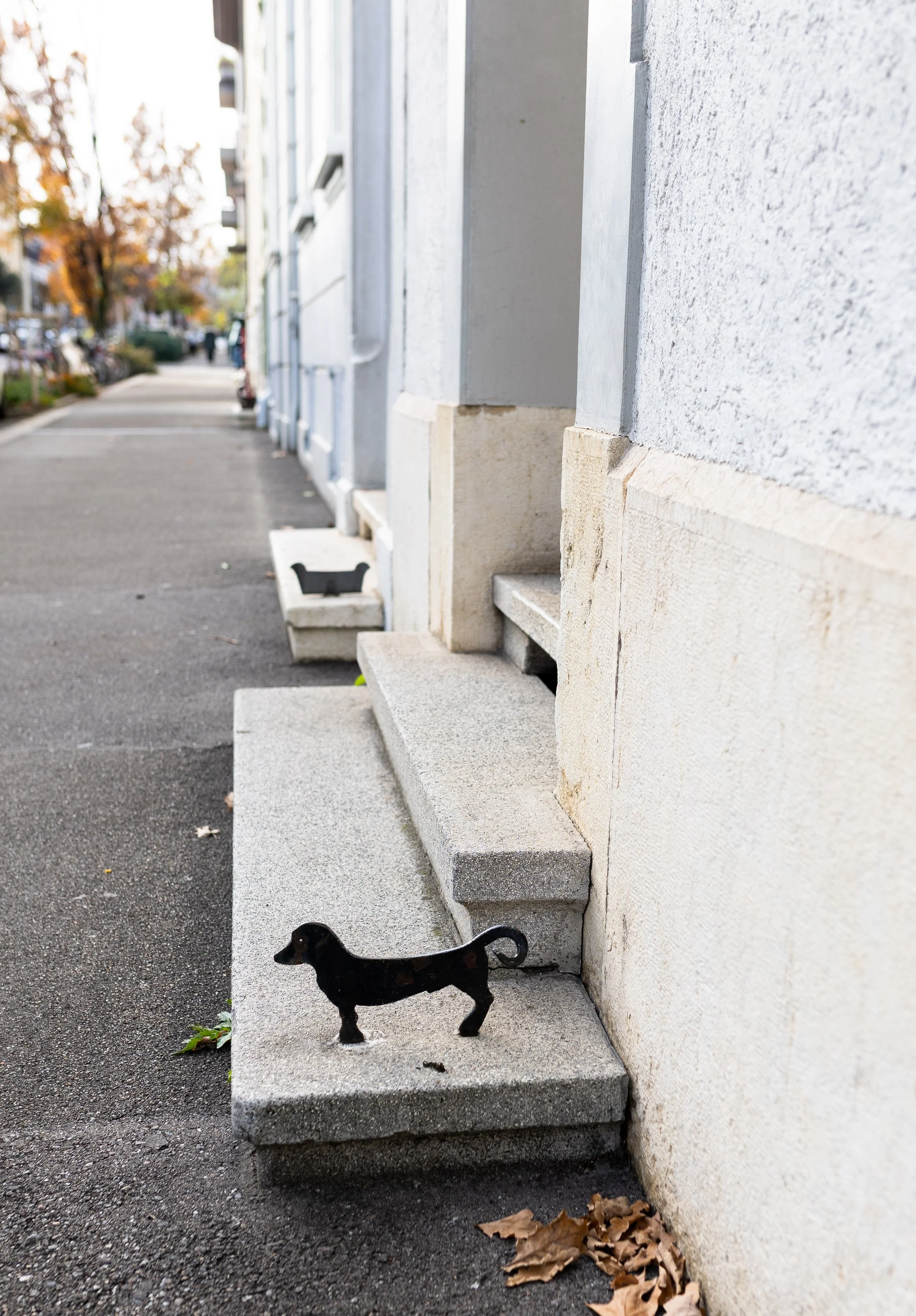 AnnahMeintzerPhotography-102.jpg
