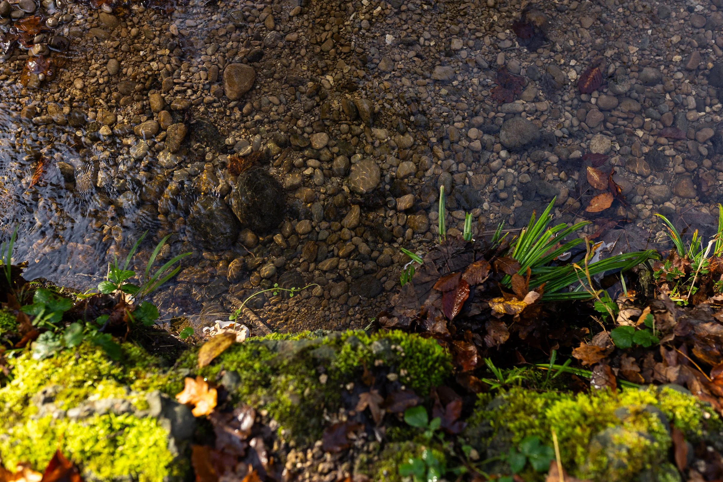 AnnahMeintzerPhotography-154.jpg