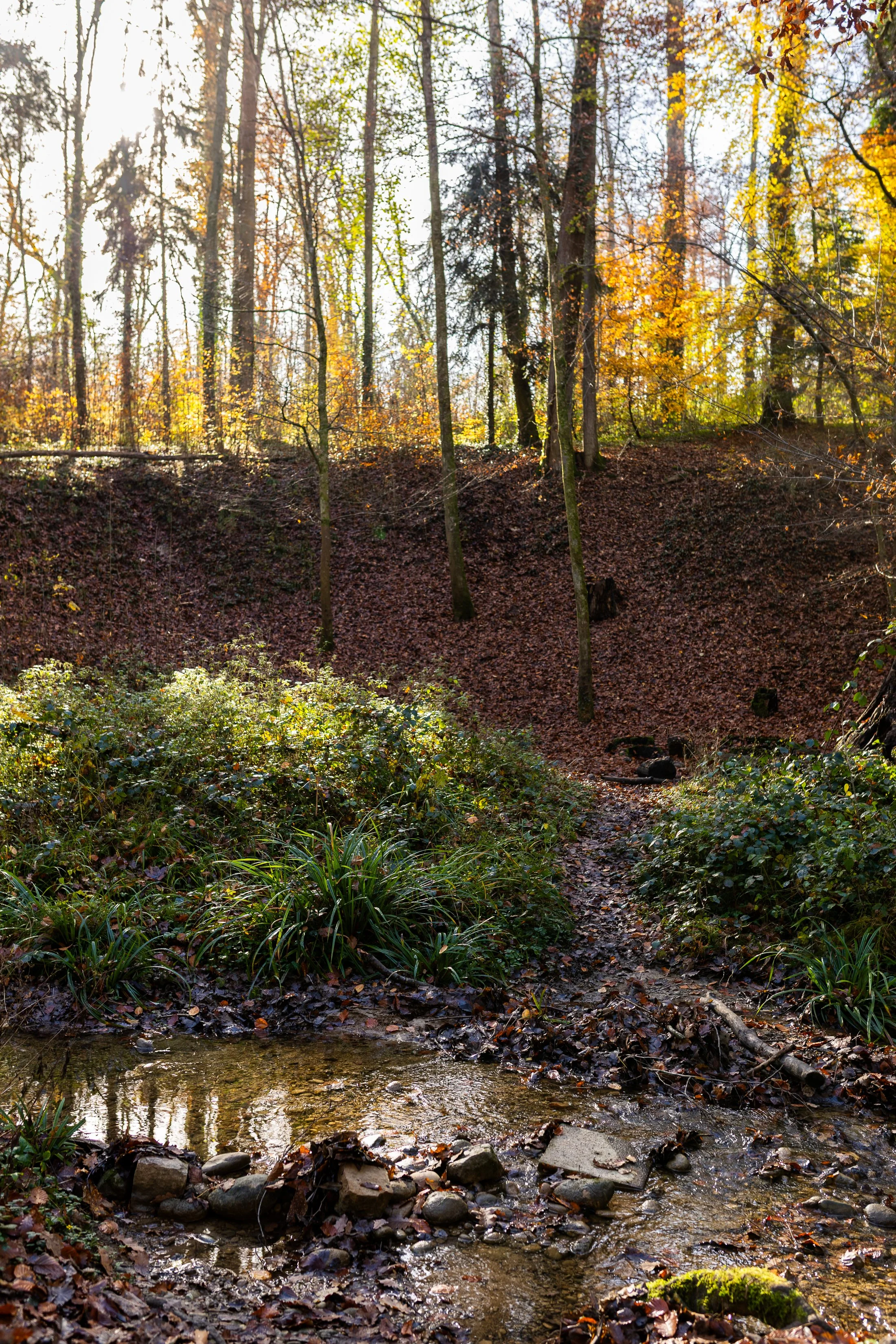 AnnahMeintzerPhotography-175.jpg