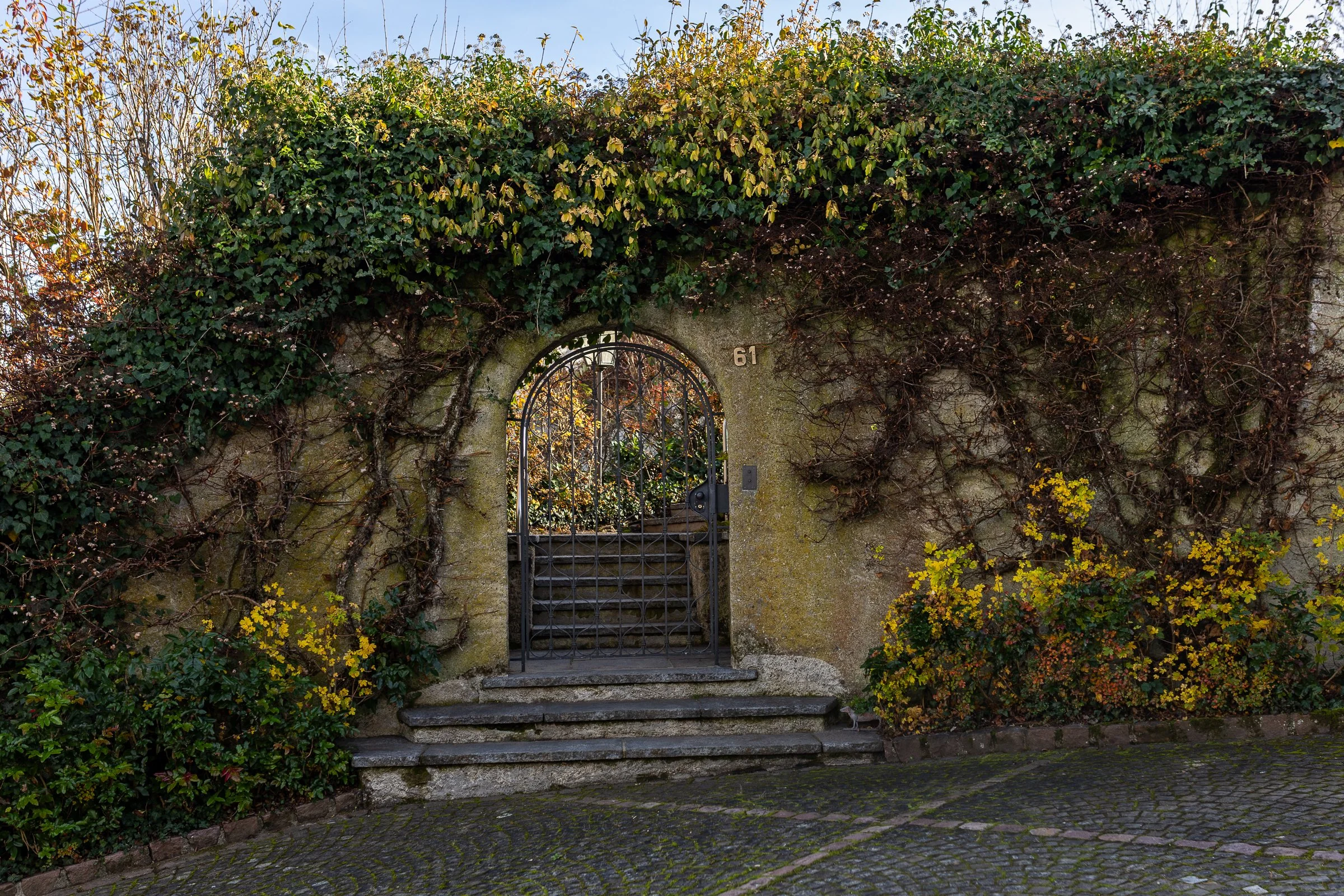 AnnahMeintzerPhotography-181.jpg