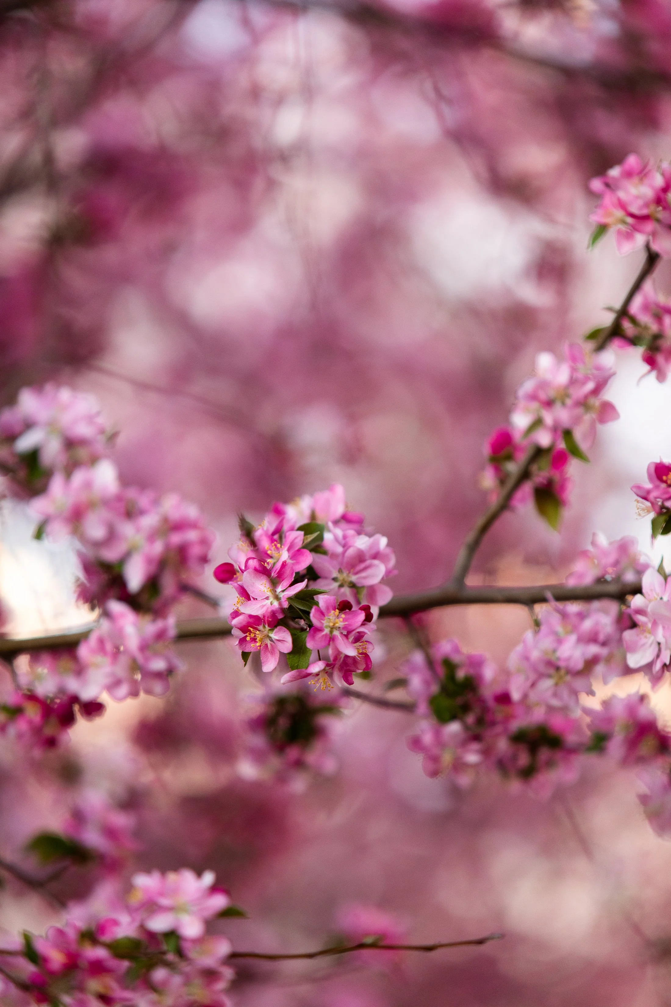 BoulderEventPhotographer-16.jpg