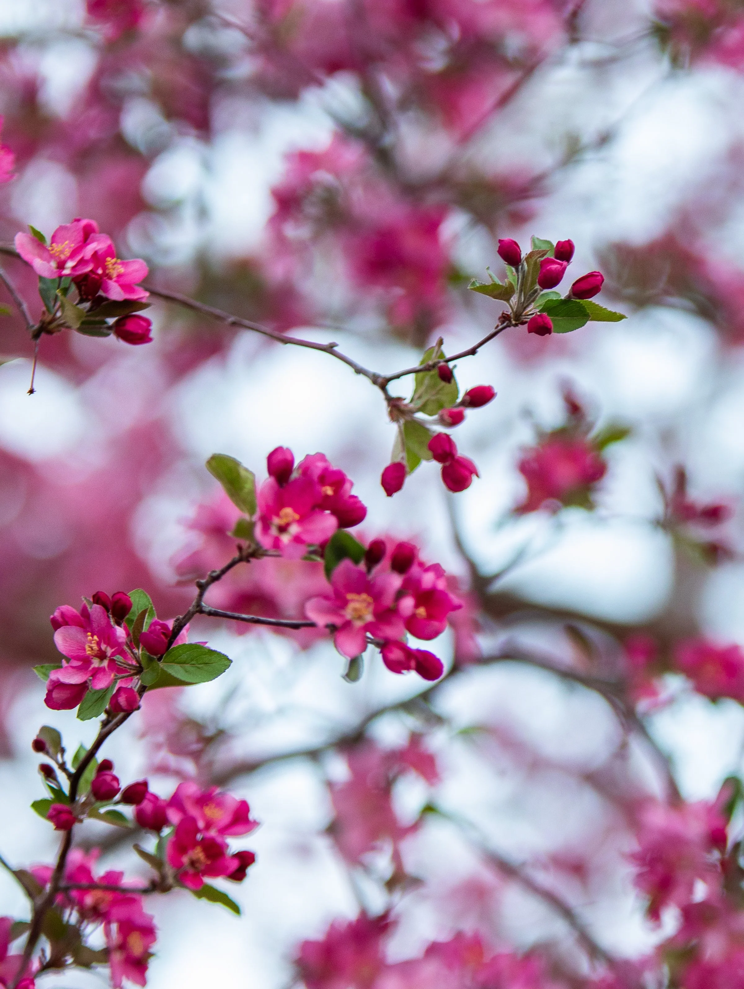 BoulderEventPhotographer-29.jpg