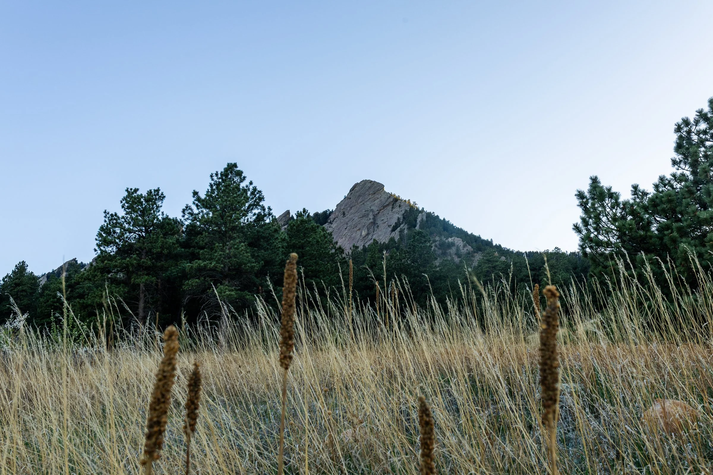 BoulderEventPhotographer-40.jpg